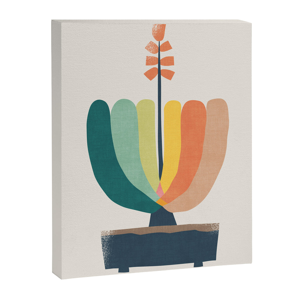 Whimsical aloe plicatilis succulent plant Canvas Print Gallery Image 6