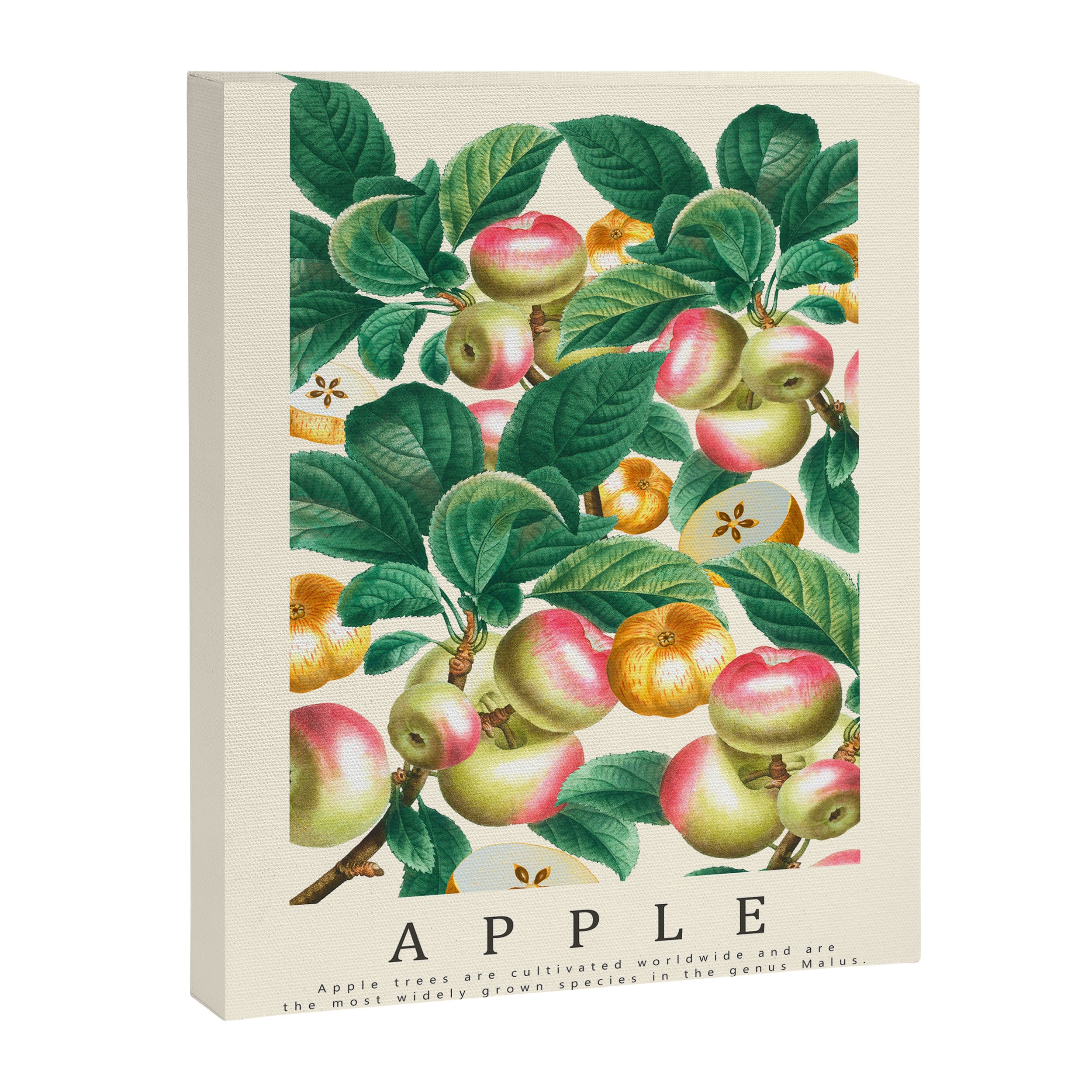 Apple Canvas Print Gallery Image 6