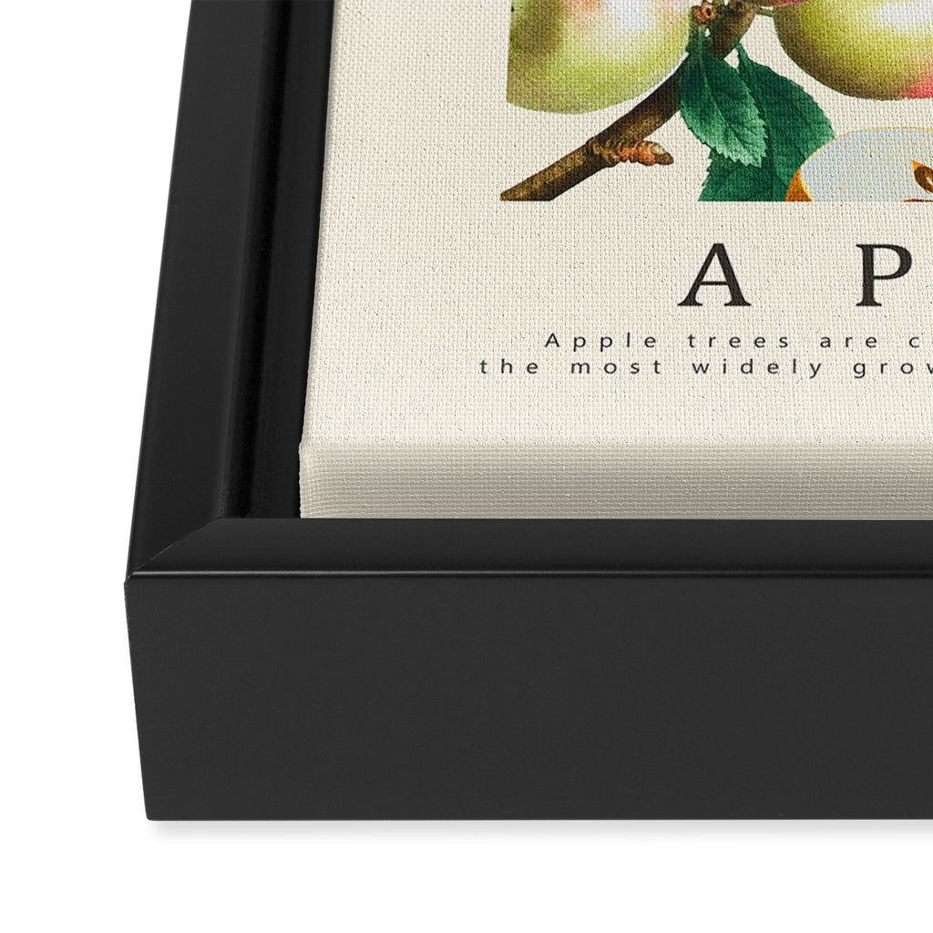 Apple Framed Canvas Print Gallery Image 3