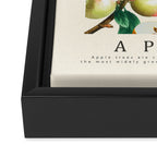 Apple Framed Canvas Print Gallery Image 3