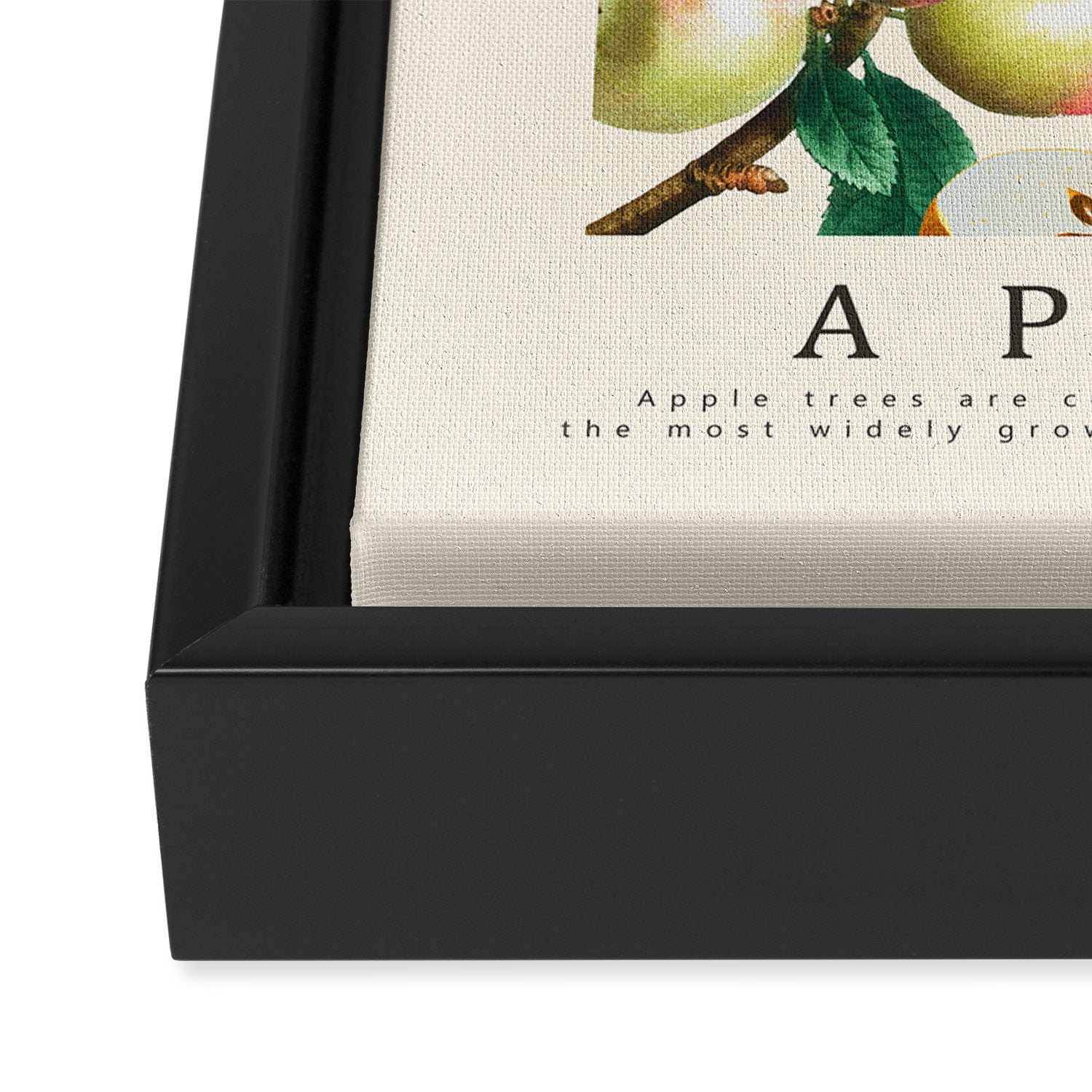 Apple Framed Canvas Print Gallery Image 3