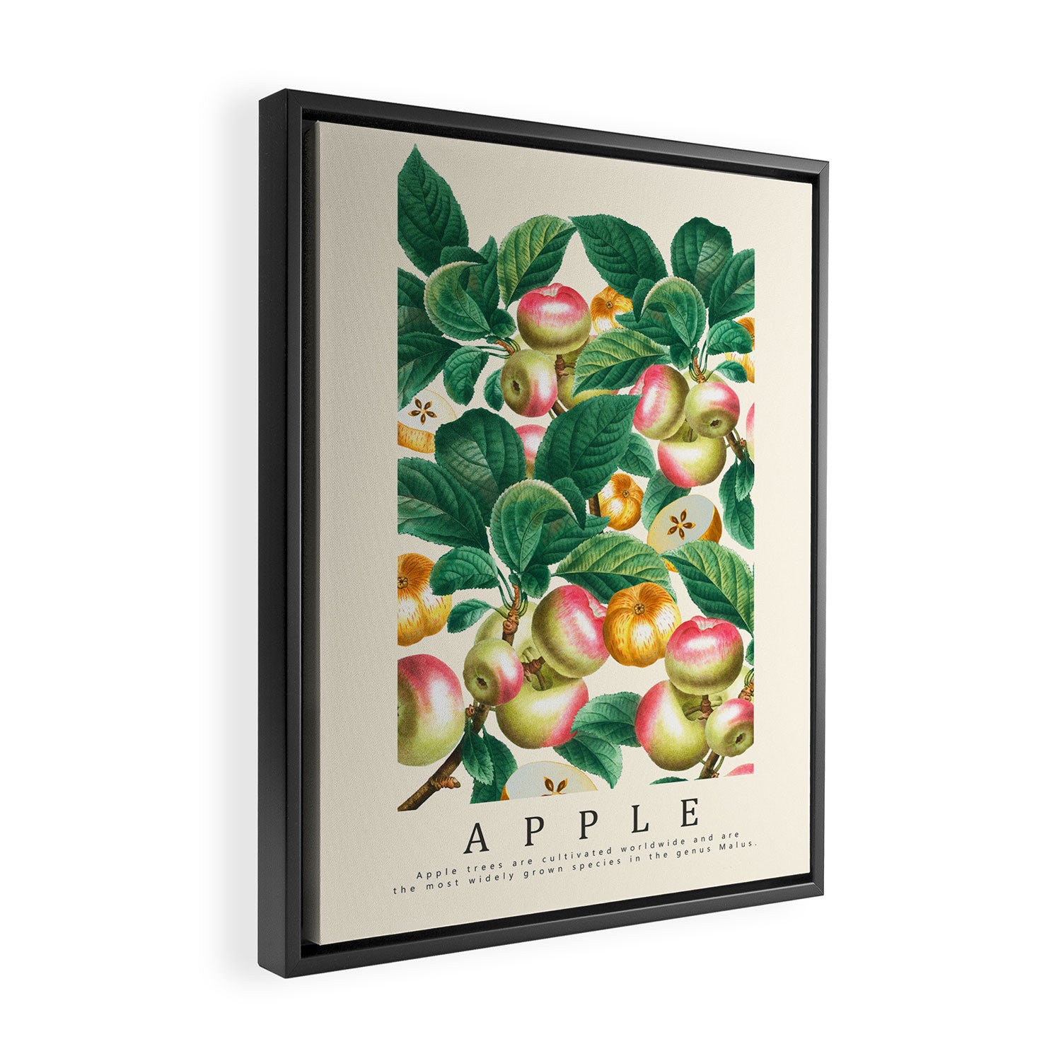 Apple Framed Canvas Print Gallery Image 2