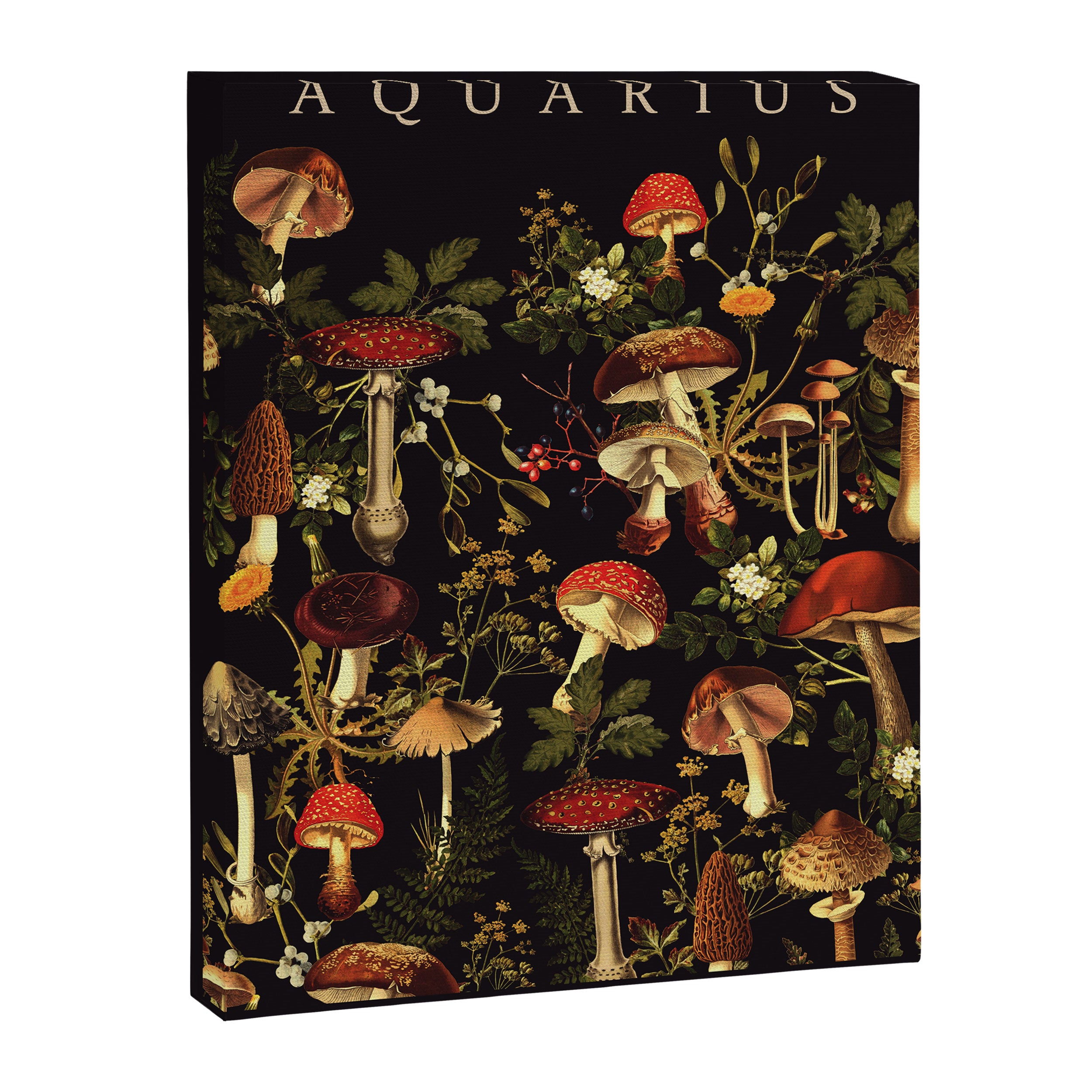 AQUARIUS II Canvas Print Gallery Image 6