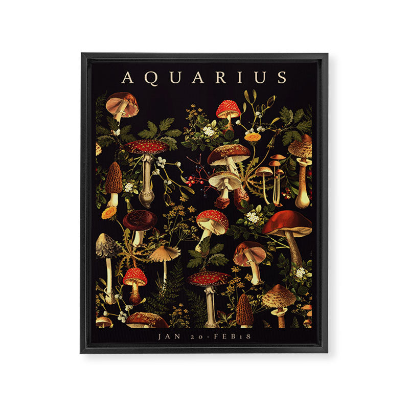 AQUARIUS II Framed Canvas Print Gallery Image 6