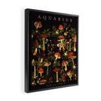 AQUARIUS II Framed Canvas Print Gallery Image 2
