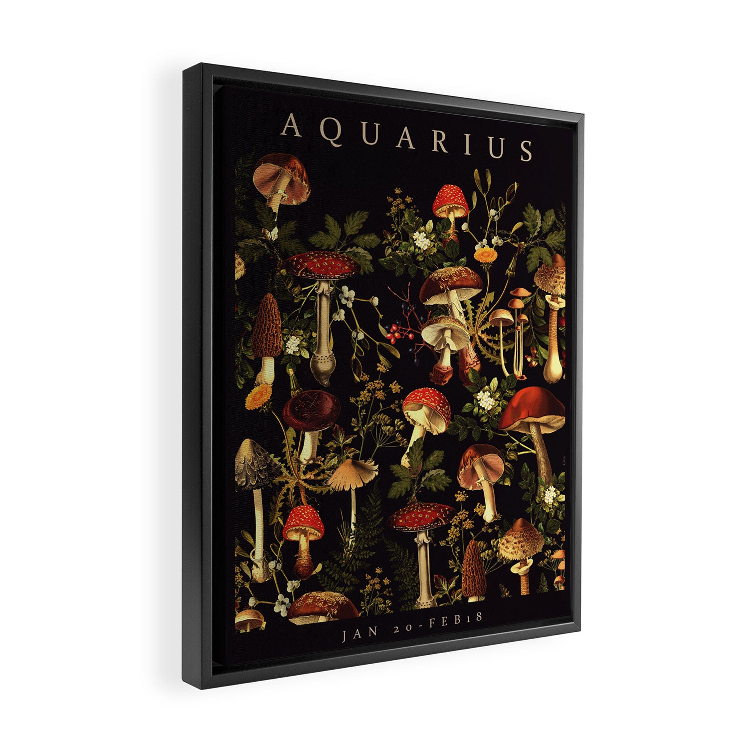 AQUARIUS II Framed Canvas Print Gallery Image 2