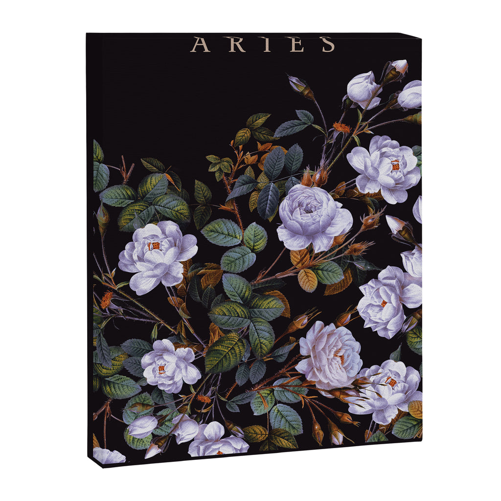 ARIES II Canvas Print Gallery Image 6