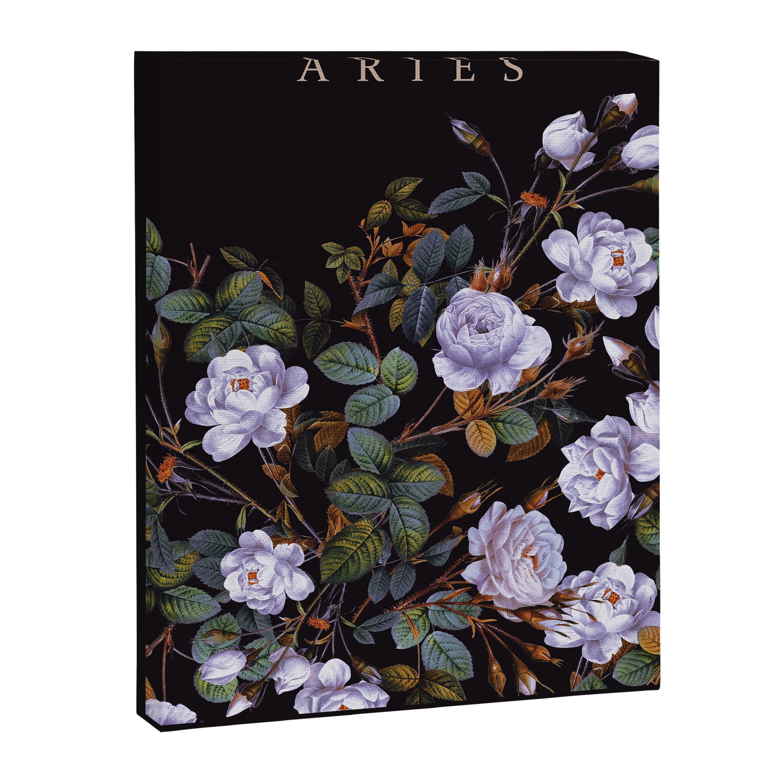 ARIES II Canvas Print Gallery Image 6