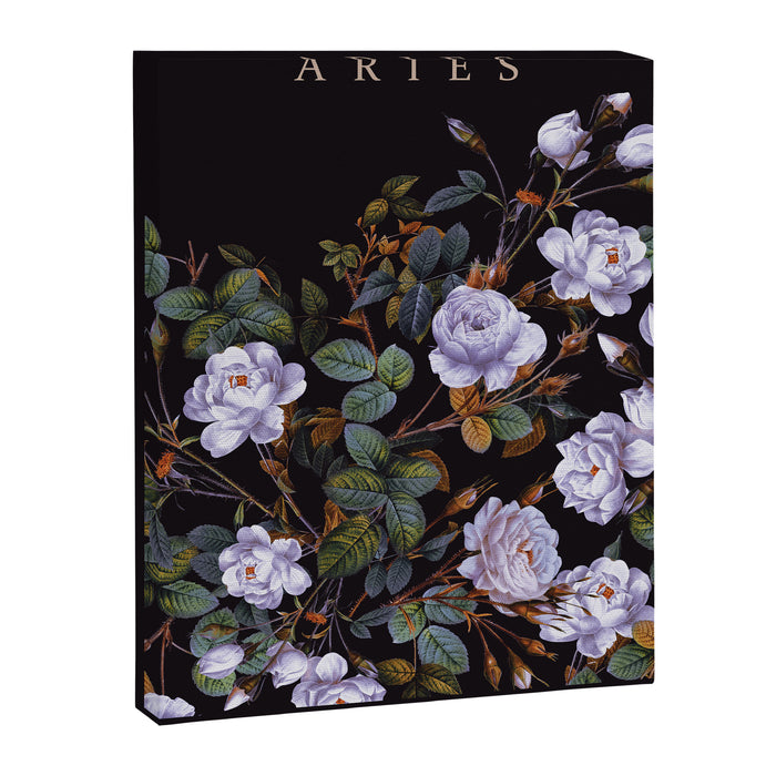 ARIES II Canvas Print Gallery Image 1