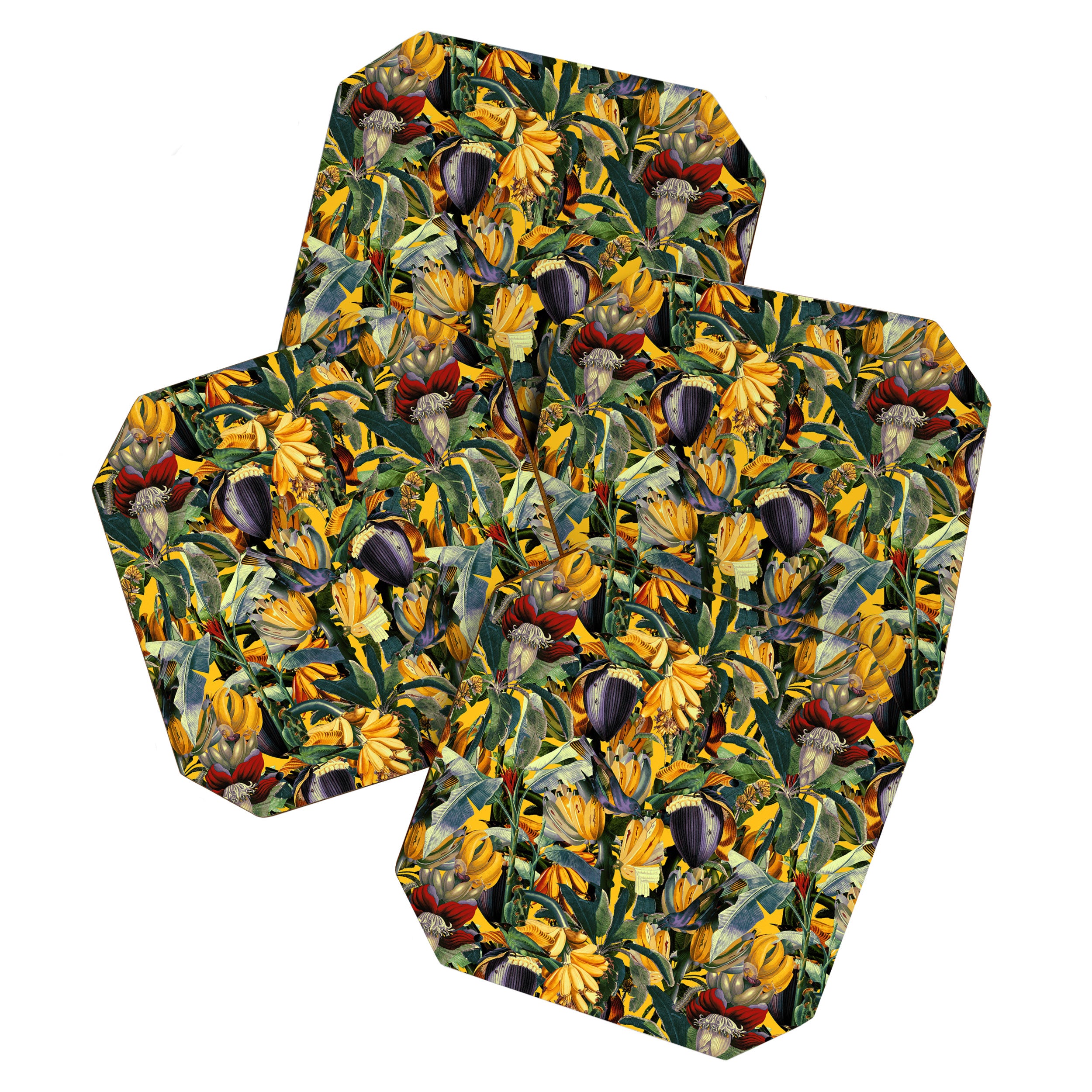 Banana and Leaf Garden Coaster Gallery Image 1