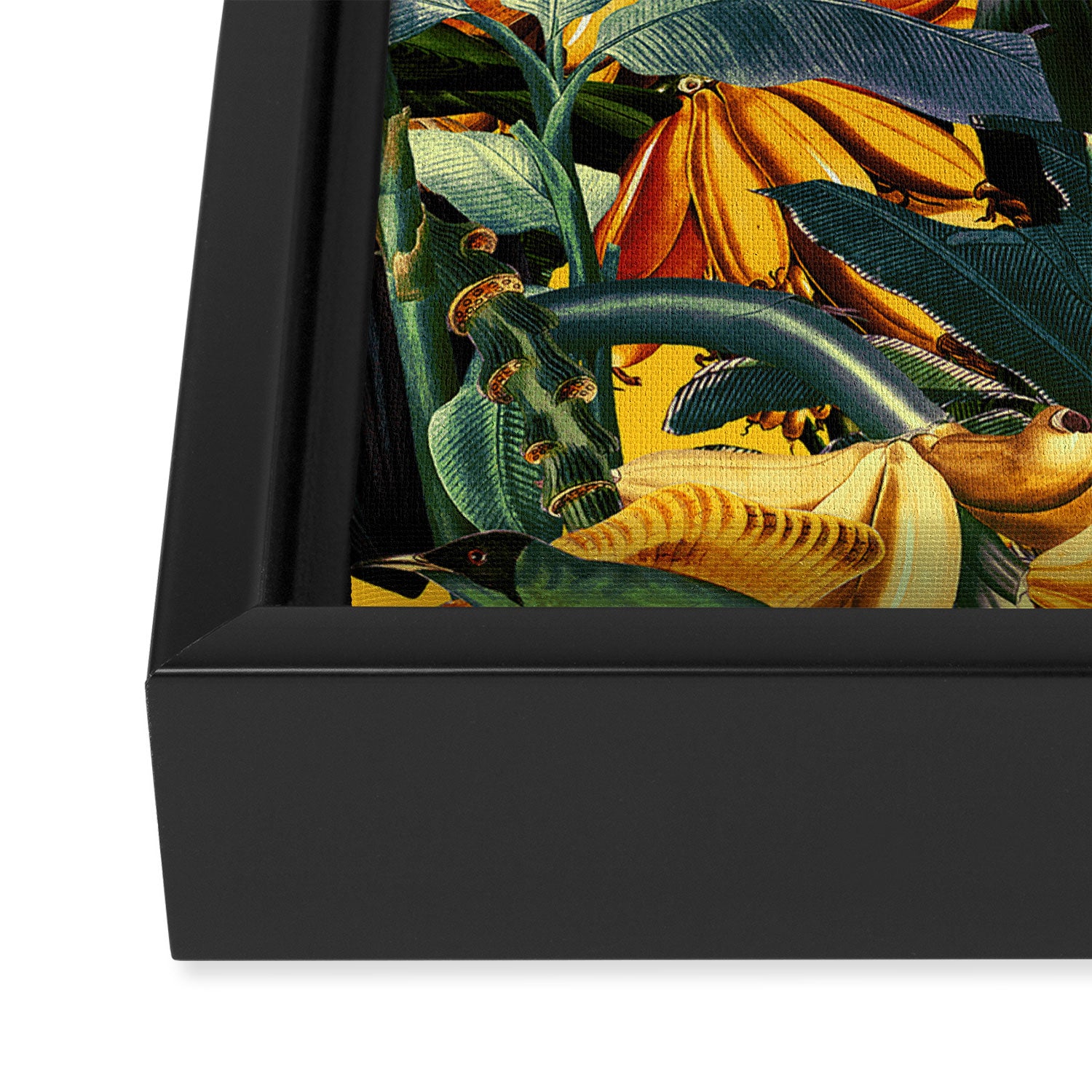 Banana and Leaf Garden Framed Canvas Print Gallery Image 3