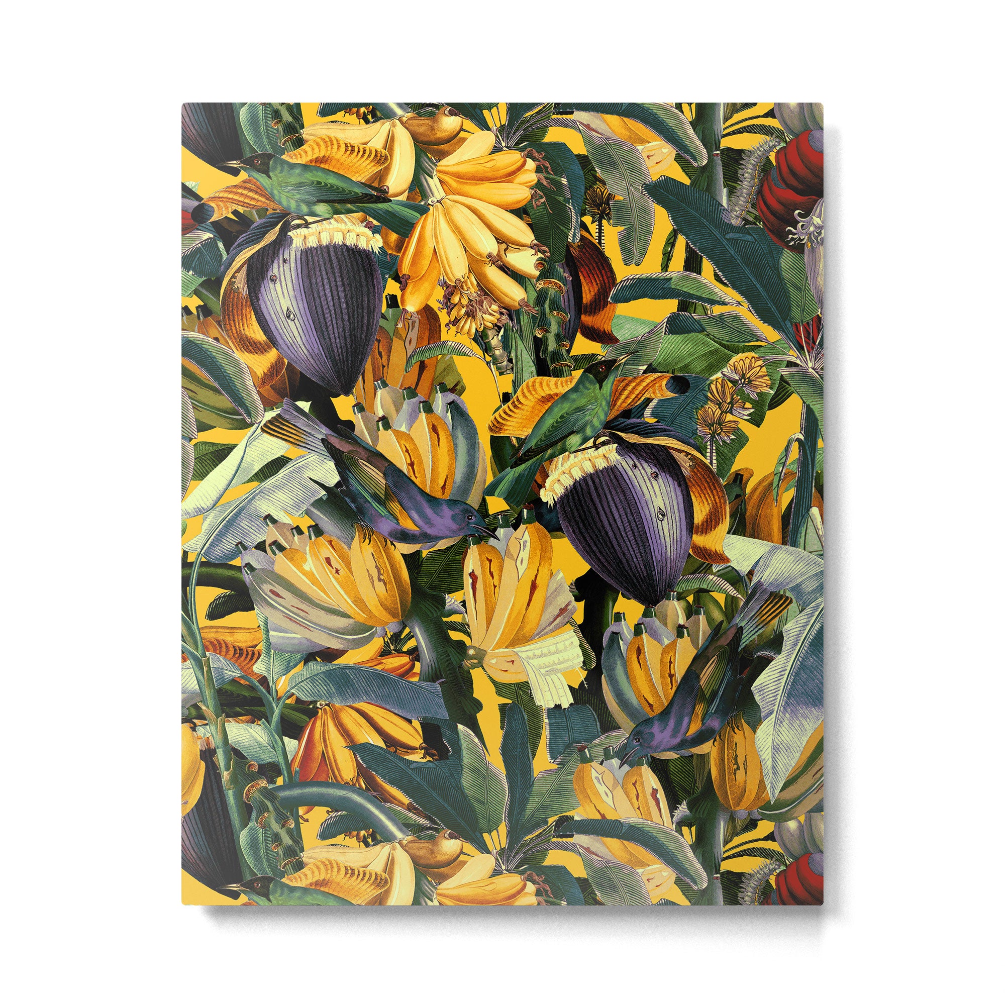 Banana and Leaf Garden Metal Print Gallery Image 4