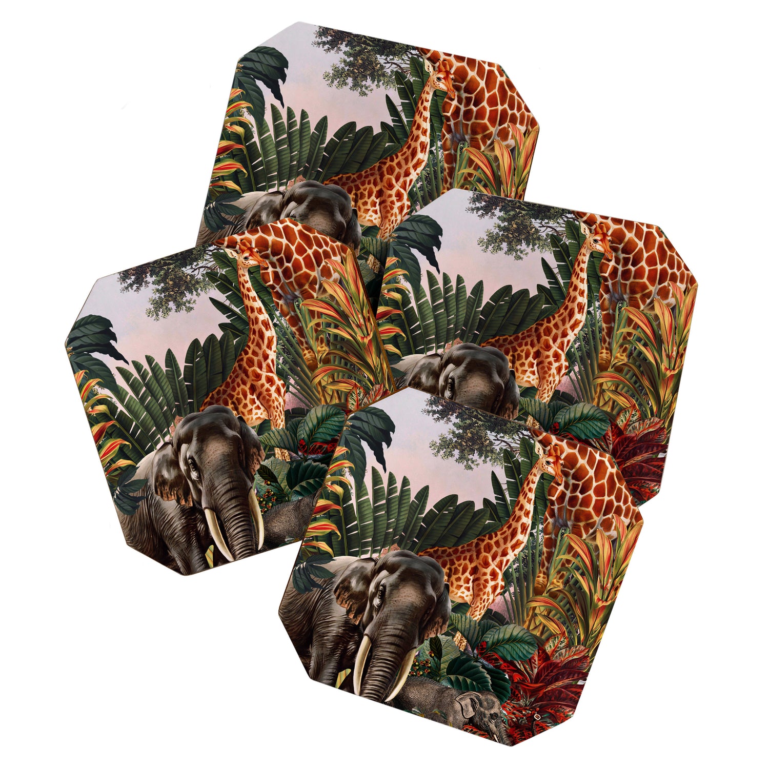 Beautiful Forest VII Coaster Gallery Image 1