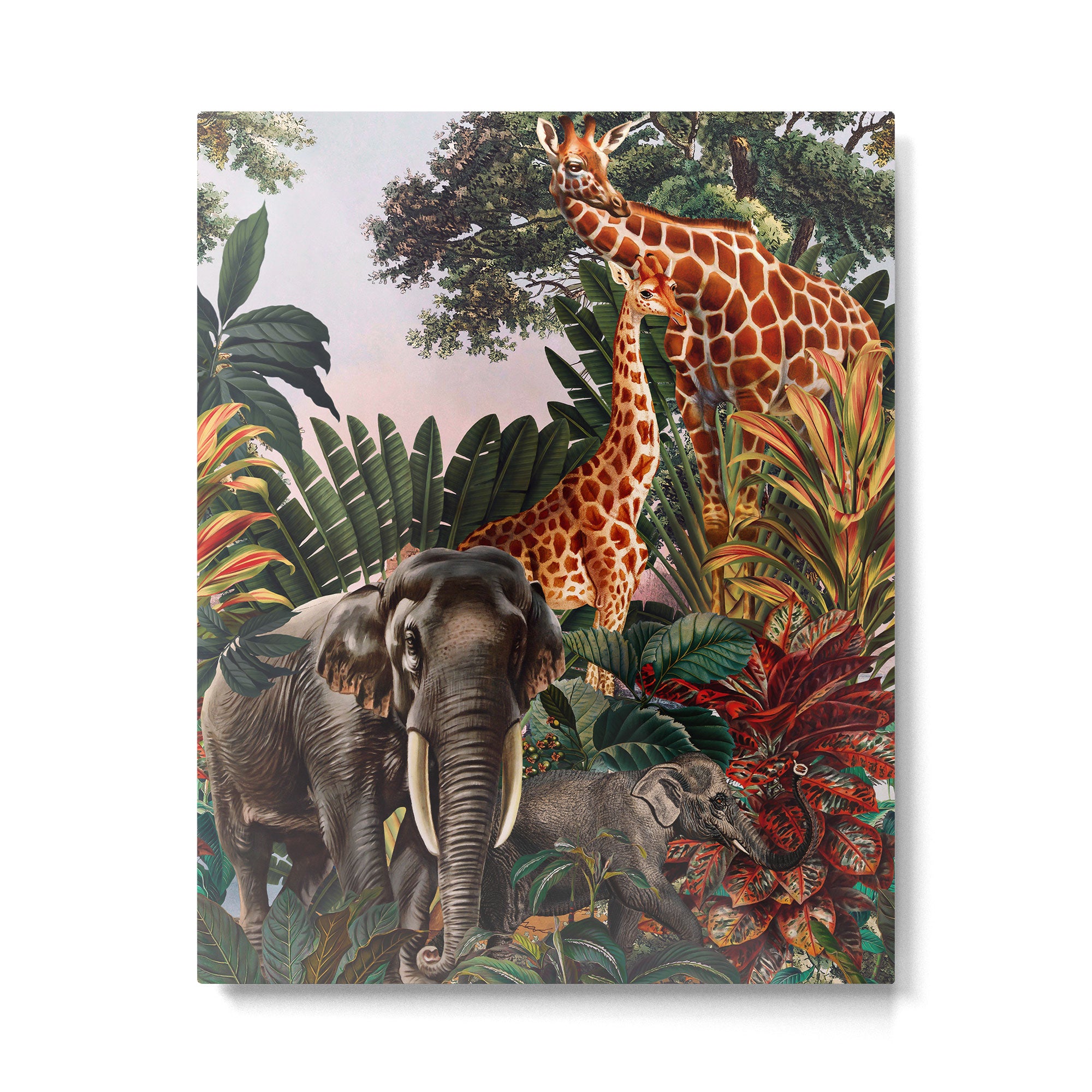 Beautiful Forest VII Metal Print Gallery Image 4