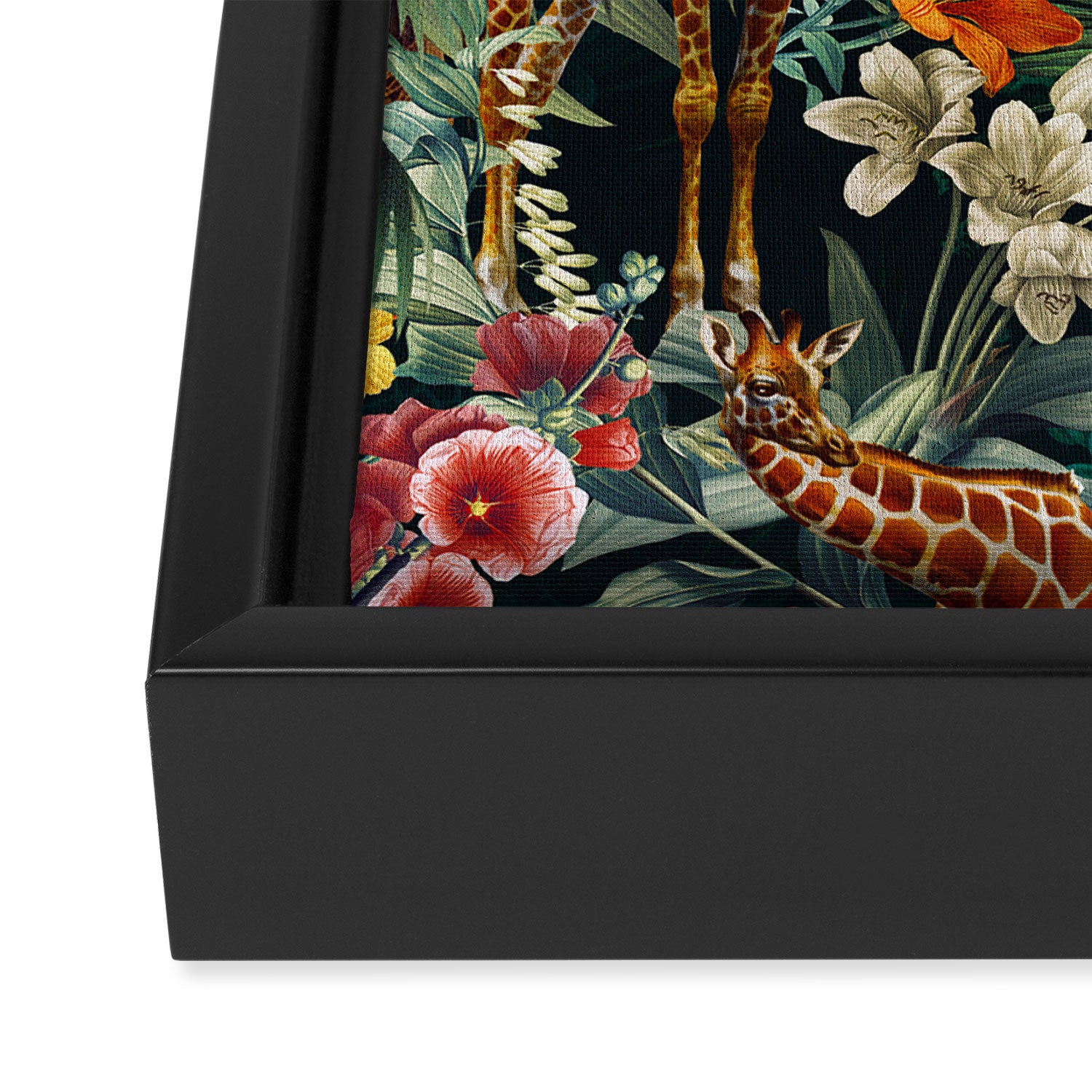 Beautiful Forest VIII Framed Canvas Print Gallery Image 3