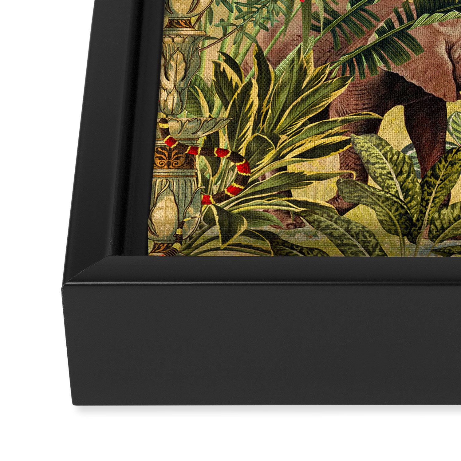 Beautiful Forest X Framed Canvas Print Gallery Image 3