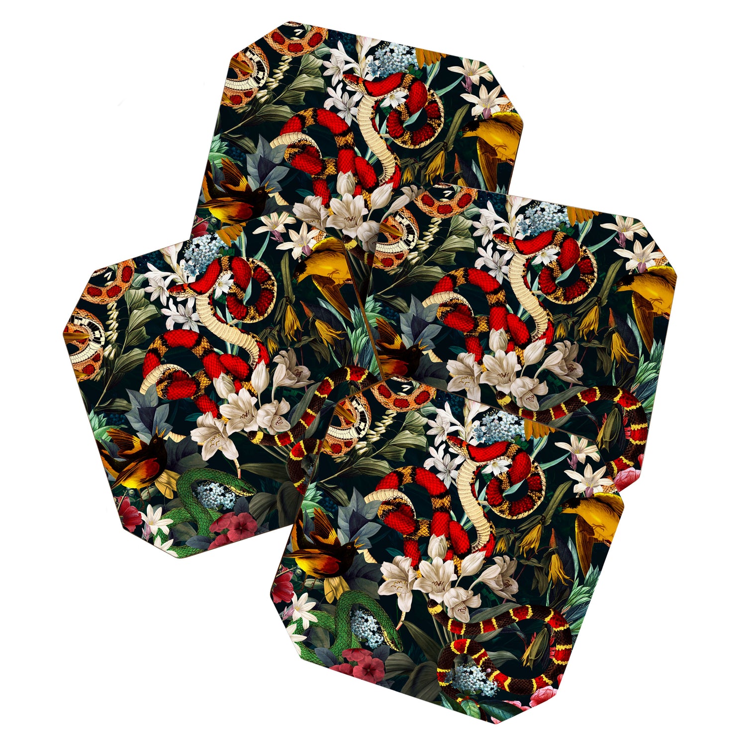 Birds and Snakes II Coaster Gallery Image 1