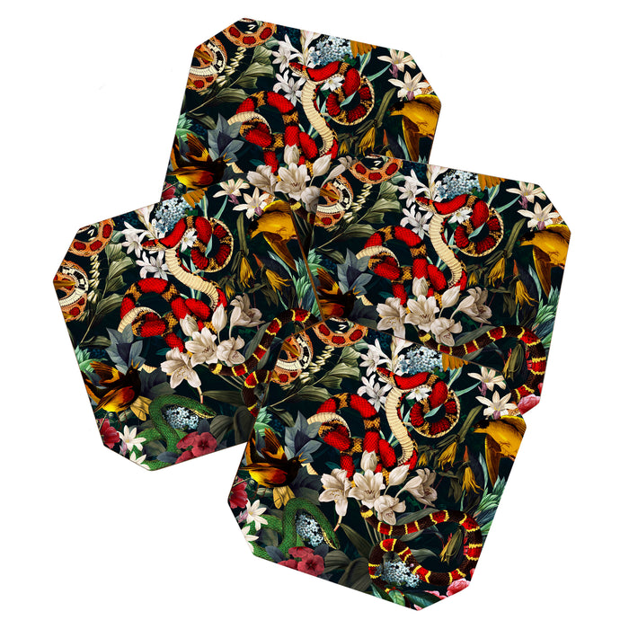 Birds and Snakes II Coaster Gallery Image 1