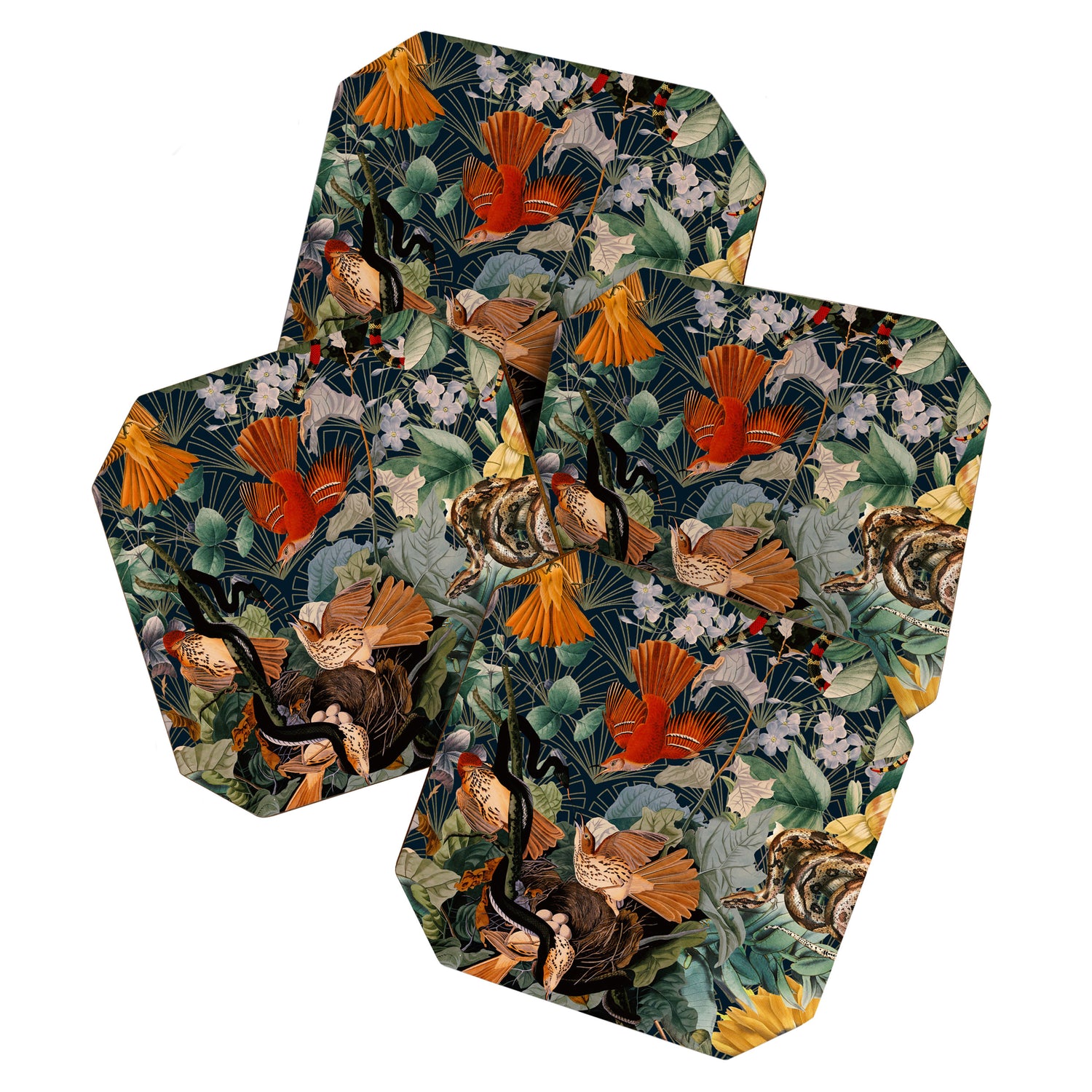 Birds and snakes Coaster Gallery Image 1