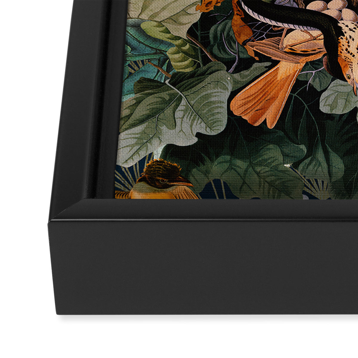 Birds and snakes Framed Canvas Print Gallery Image 3
