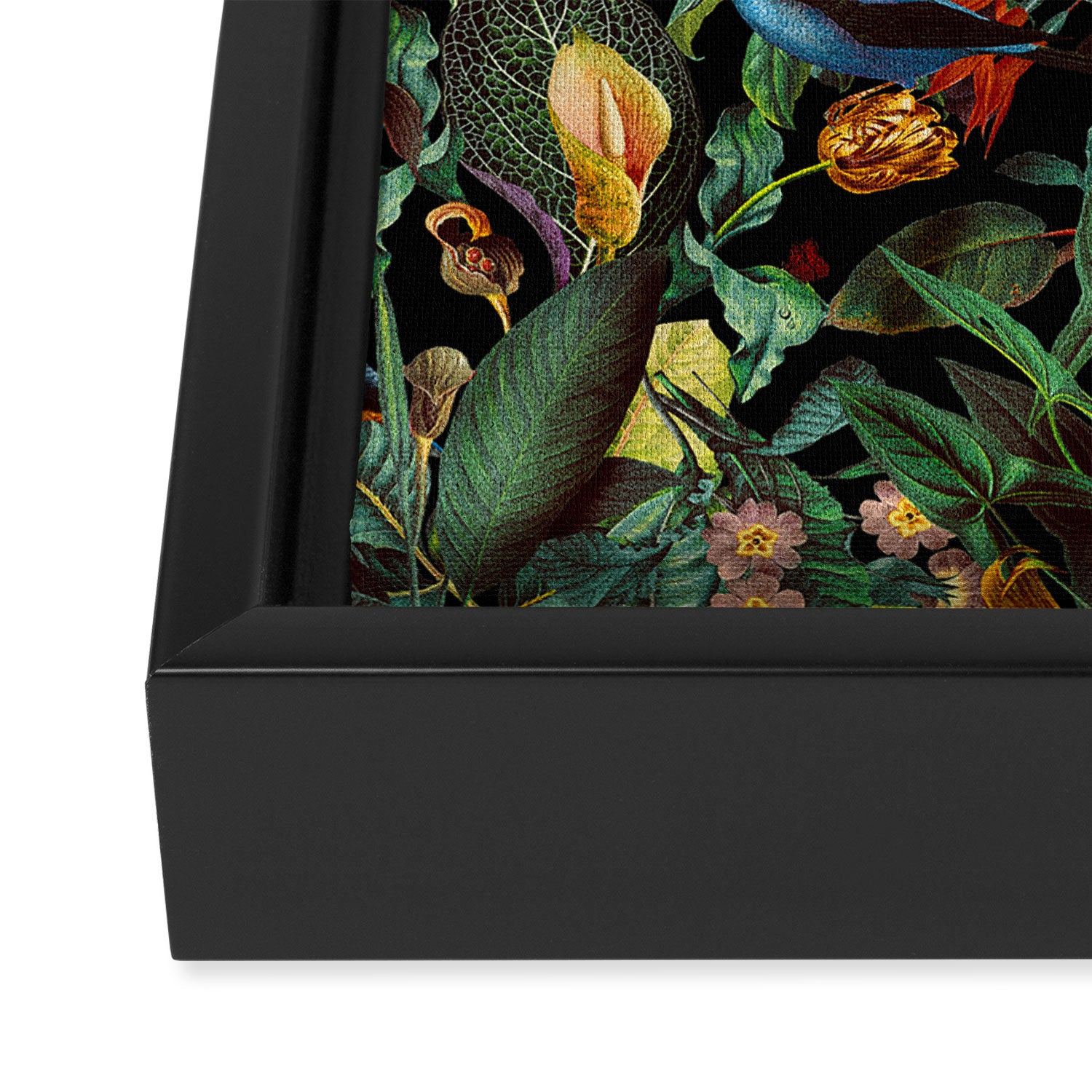 Birds World II Framed Canvas Print Gallery Image 3