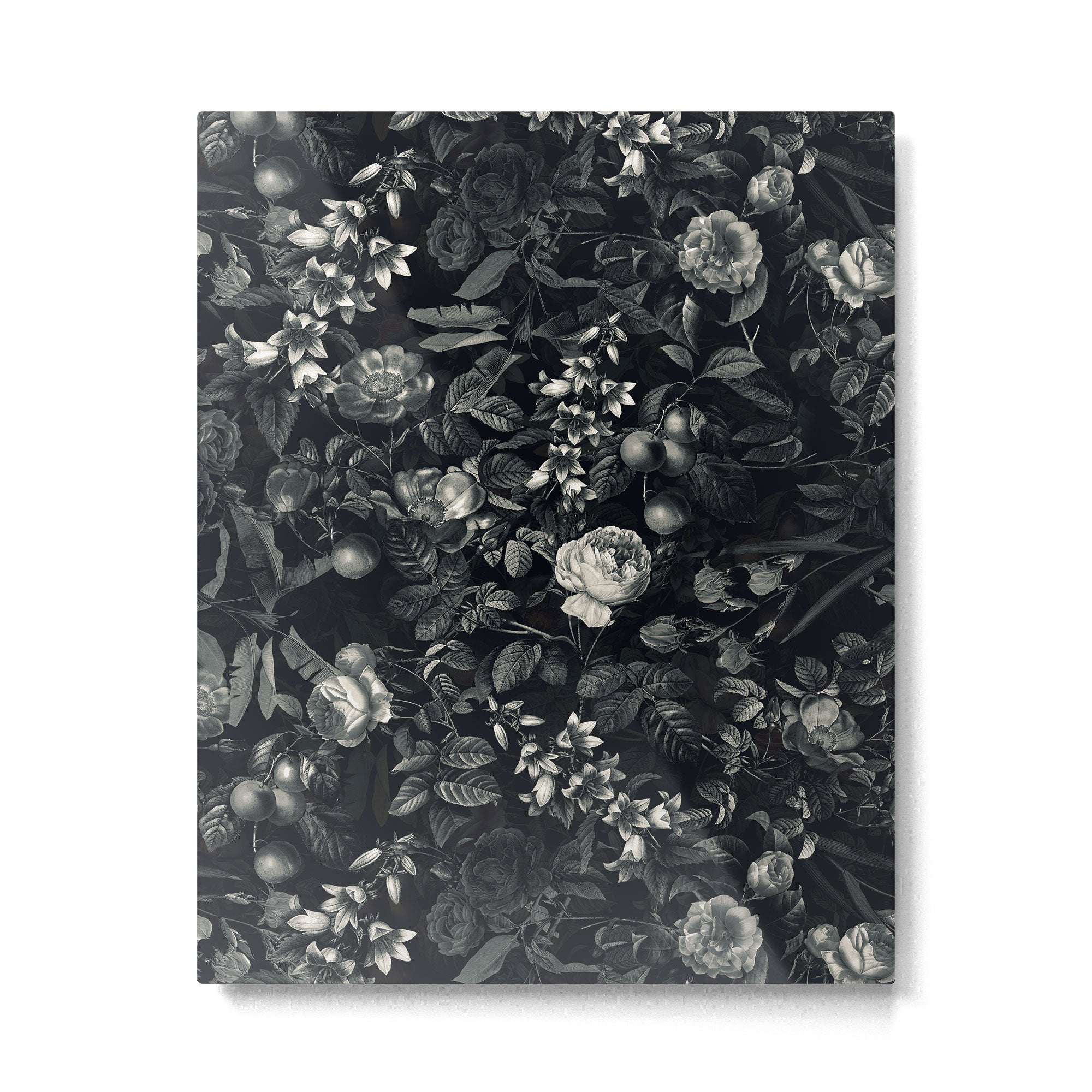 Black Forest III Metal Print Gallery Image 4