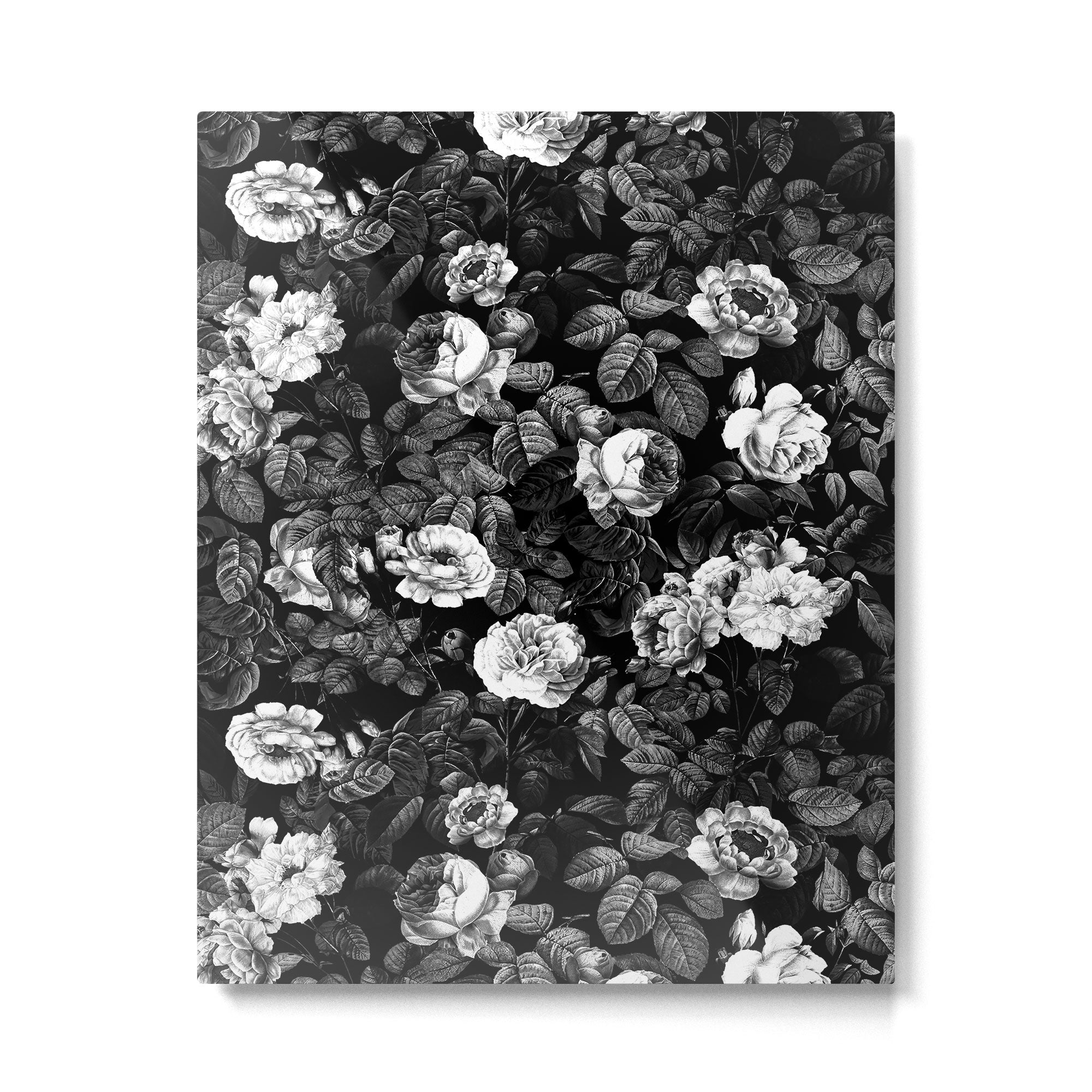 Black Forest IV Metal Print Gallery Image 4