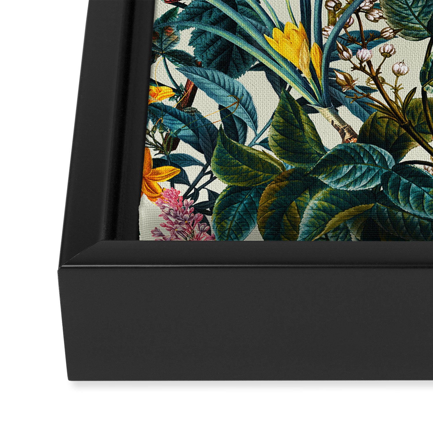 Blooming Oasis Framed Canvas Print Gallery Image 3