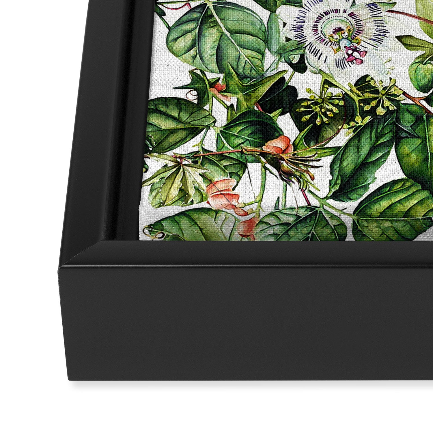 Botanical Leaf Framed Canvas Print Gallery Image 3