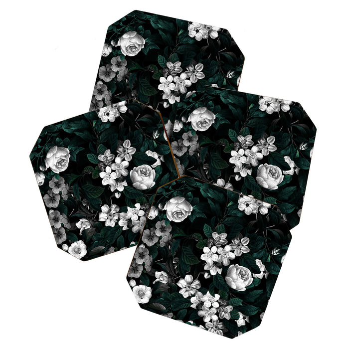 Botanical Night Coaster Gallery Image 1