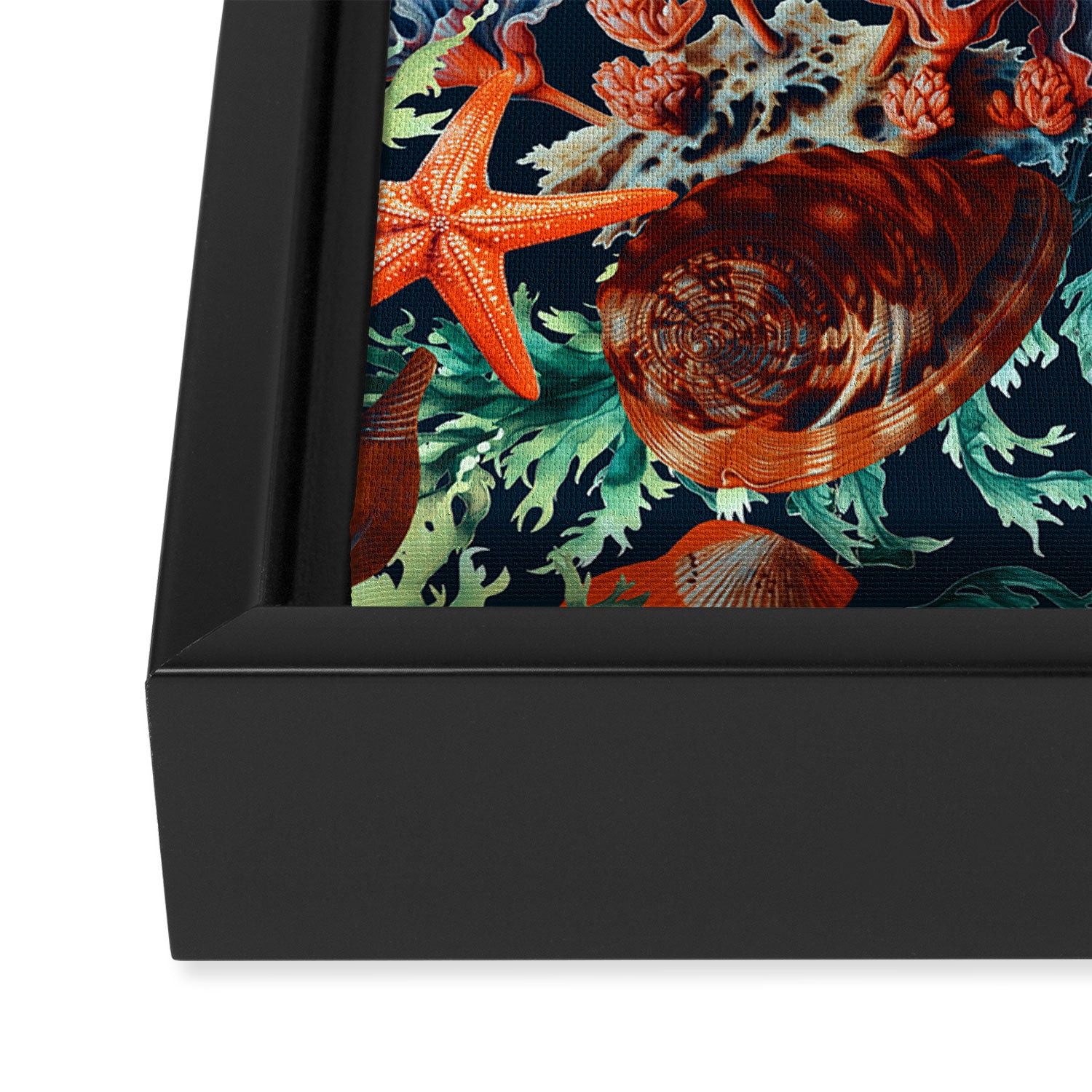 Bottom of the Ocean Framed Canvas Print Gallery Image 3