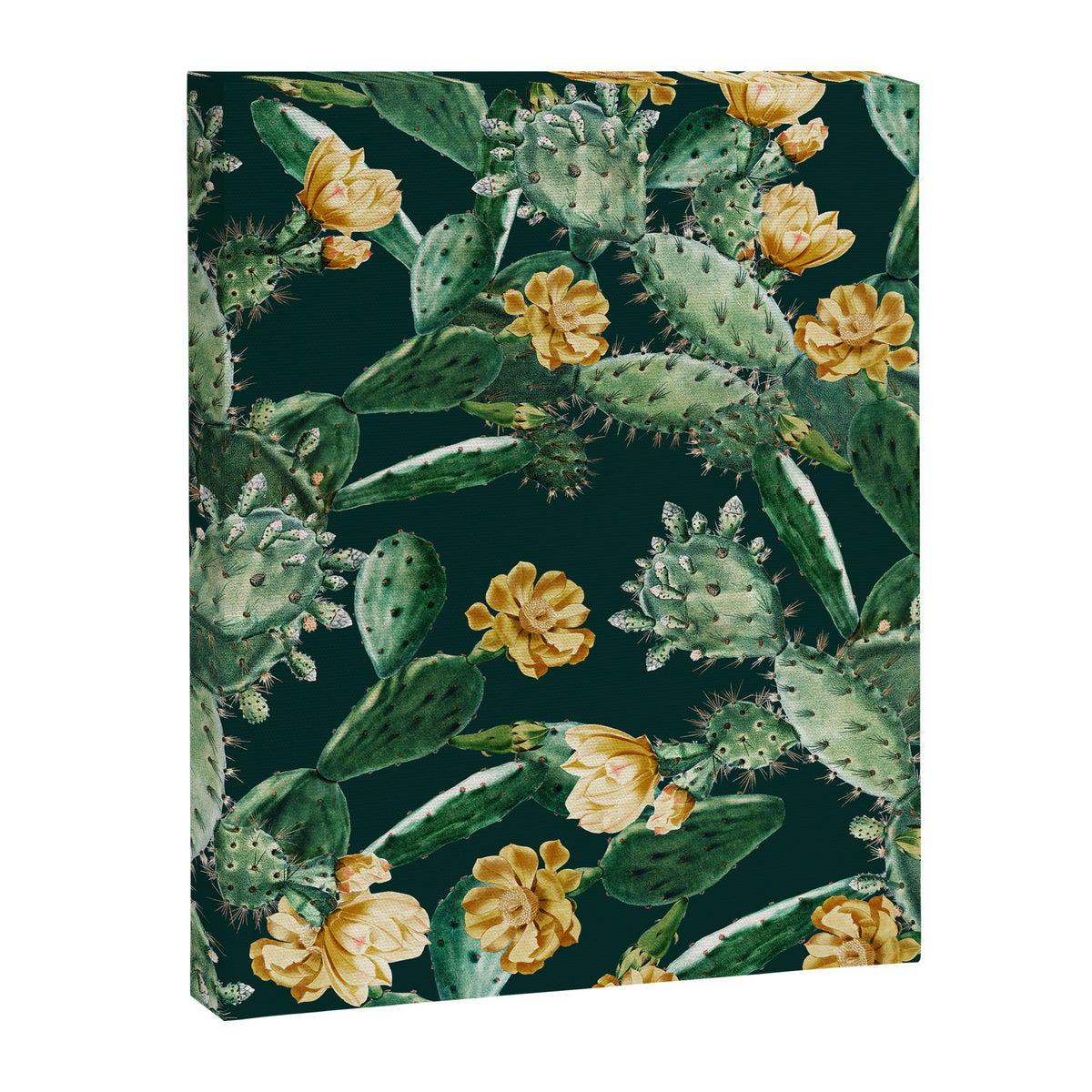 Cactus Garden Canvas Print Gallery Image 8