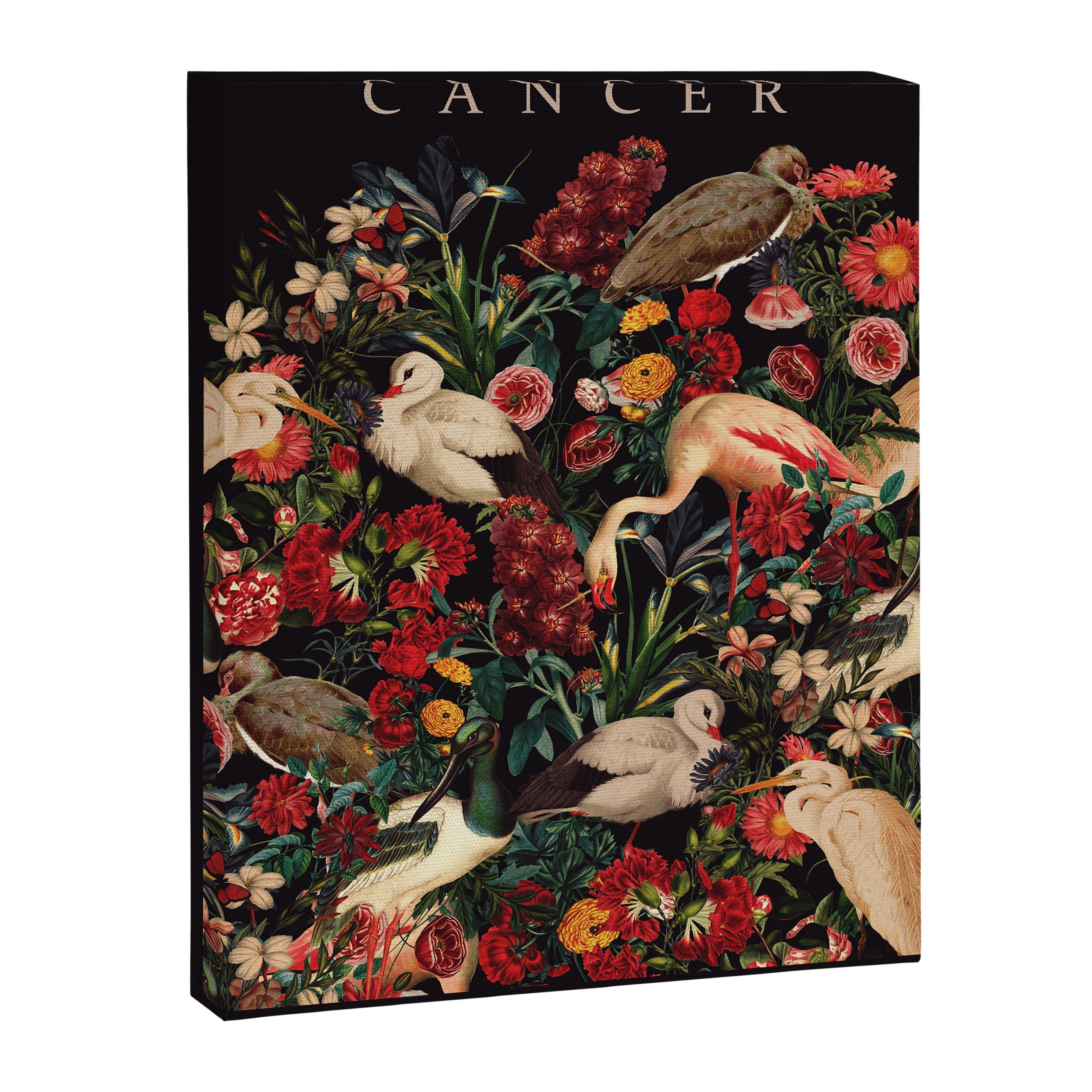 CANCER II Canvas Print Gallery Image 6