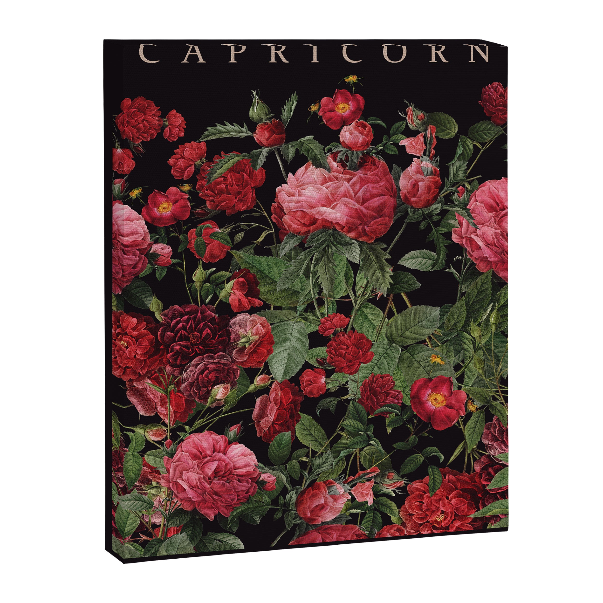 CAPRICORN II Canvas Print Gallery Image 6