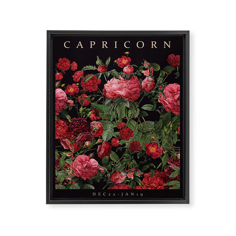 CAPRICORN II Framed Canvas Print Gallery Image 6