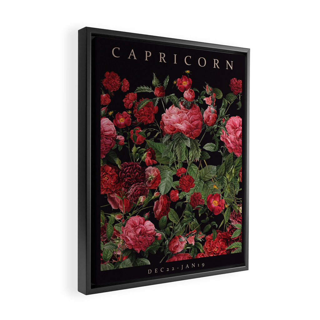 CAPRICORN II Framed Canvas Print Gallery Image 2