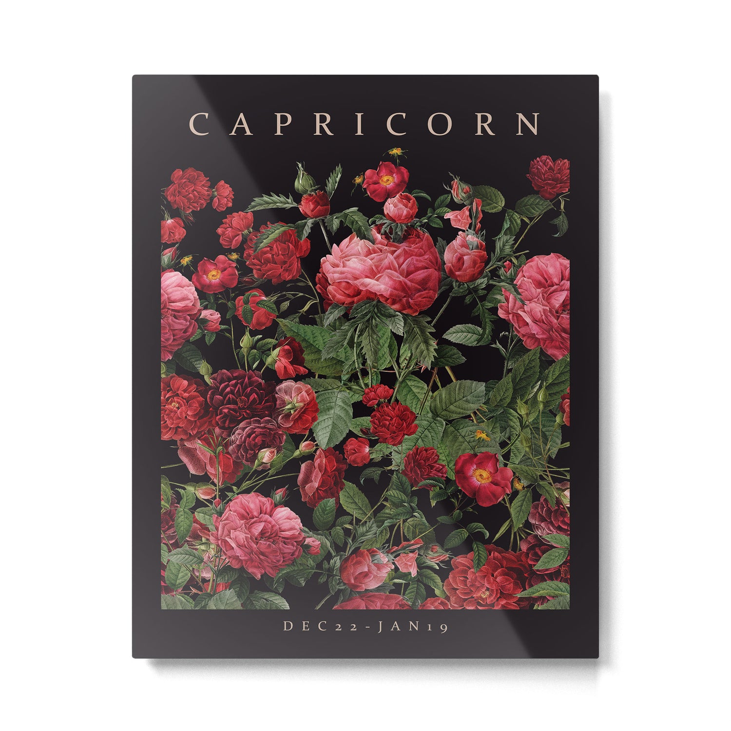 CAPRICORN II Metal Print Gallery Image 4