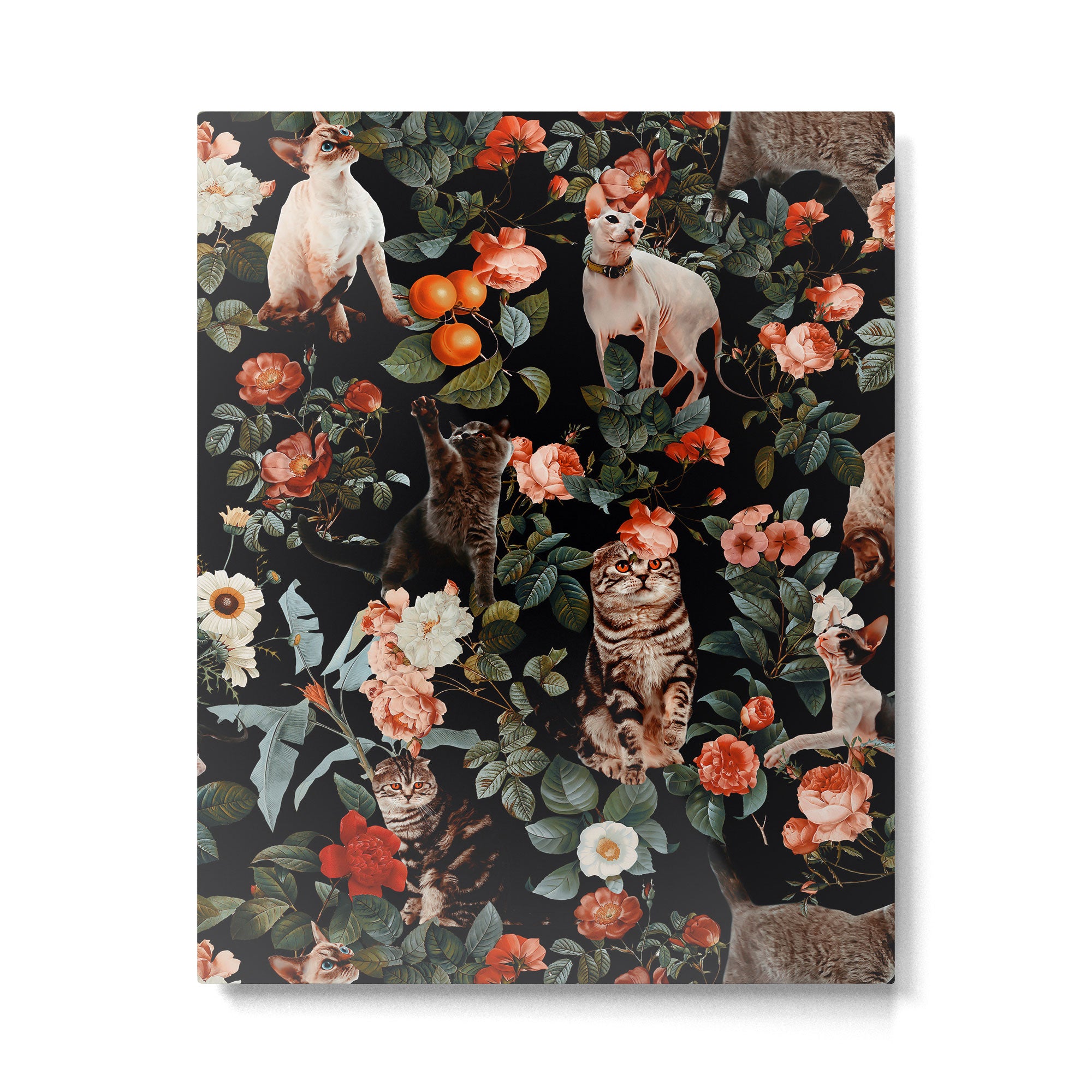 Cat and Floral Pattern II Metal Print Gallery Image 4