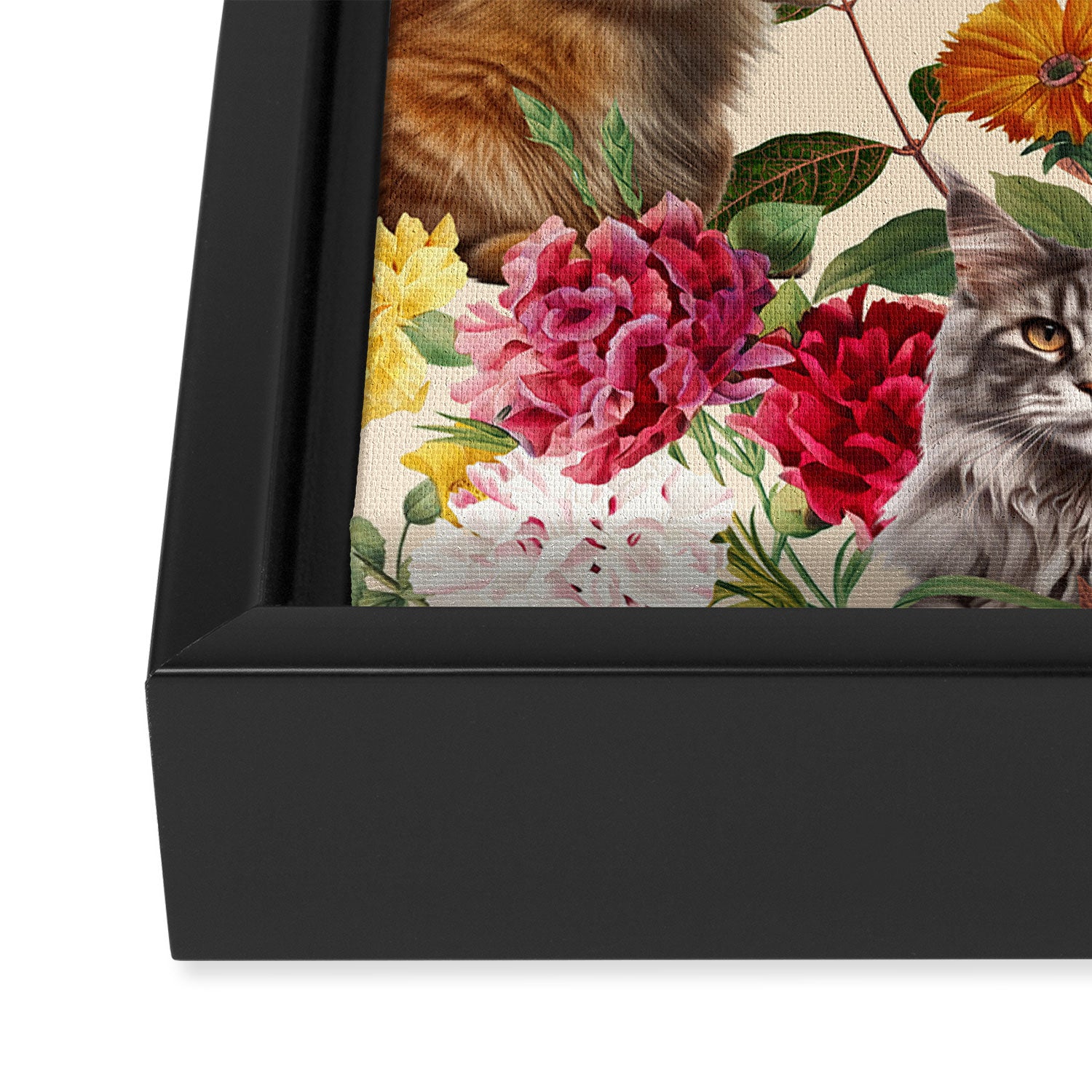 Cat and Floral Pattern IV Framed Canvas Print Gallery Image 3