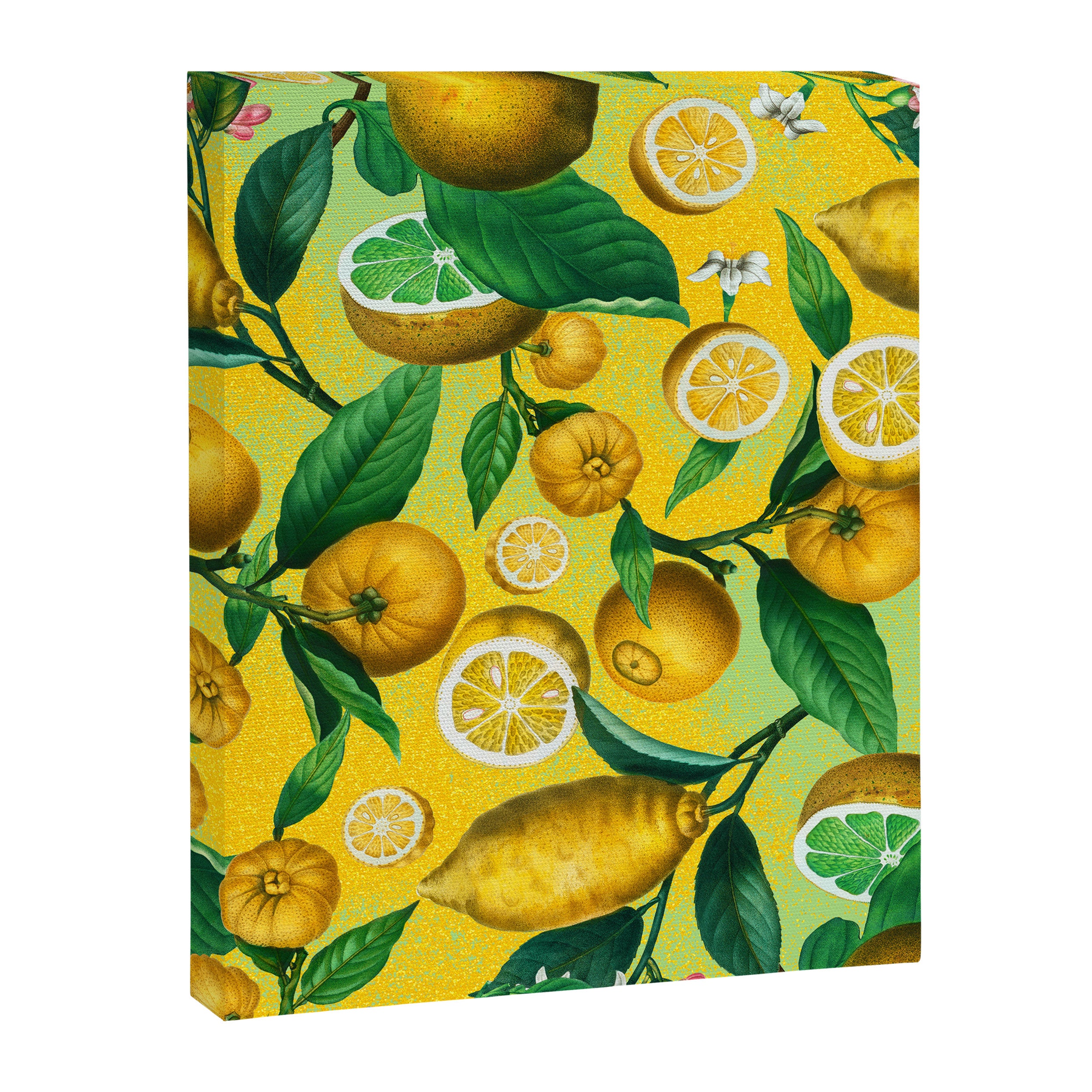 Citrus Ichangensis Canvas Print Gallery Image 6
