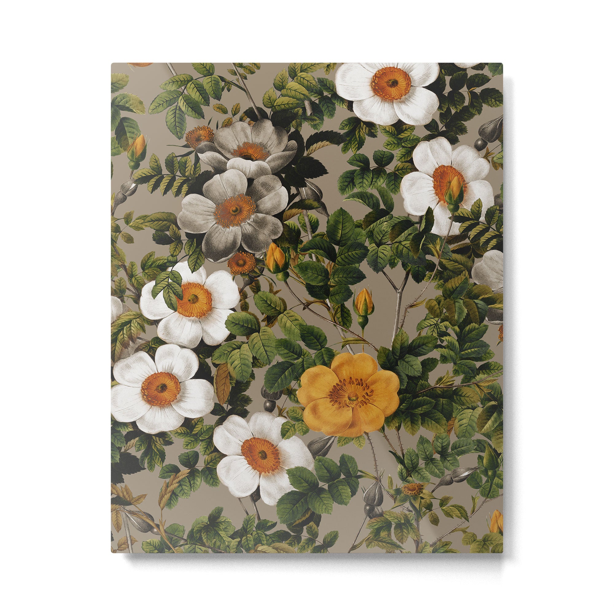 Daisy Garden Metal Print Gallery Image 6