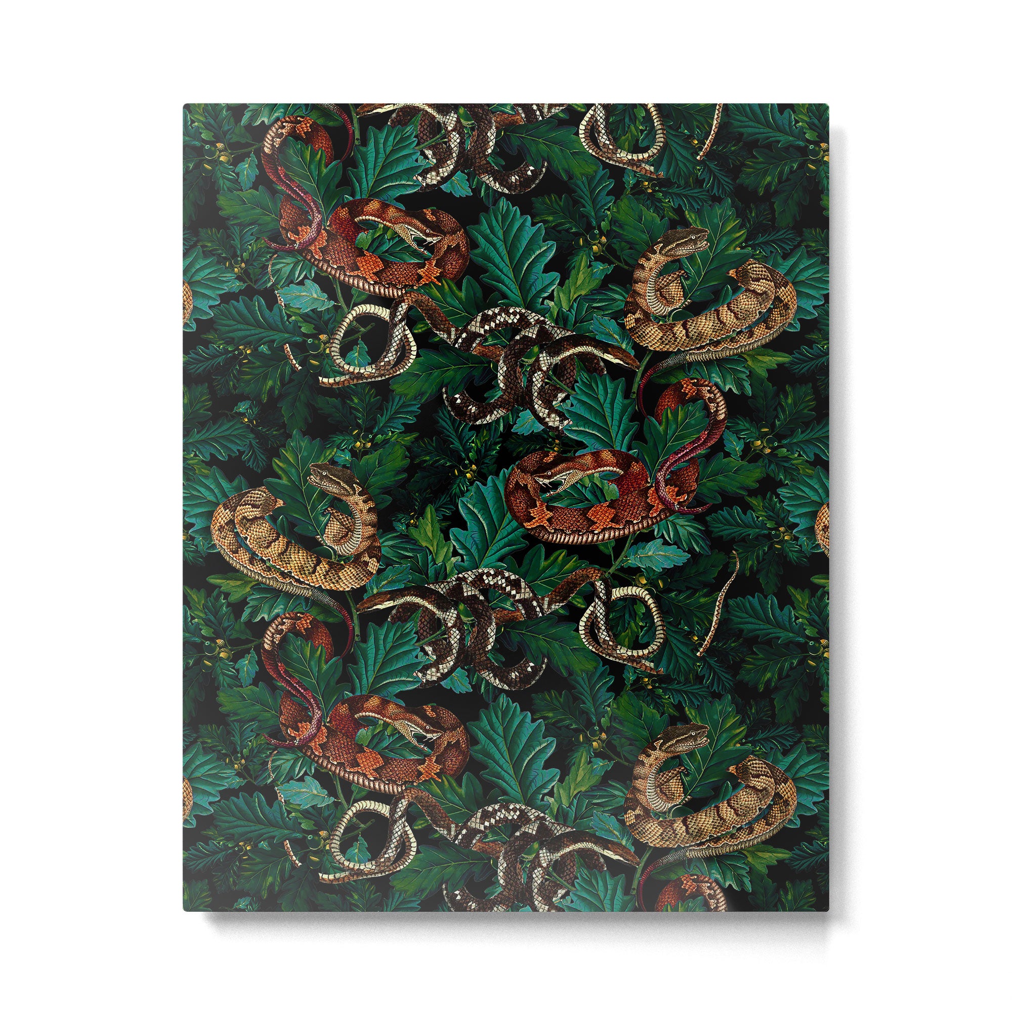 Dangers in the forest Metal Print Gallery Image 4