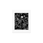 DARK FLOWER Art Print Gallery Image 1