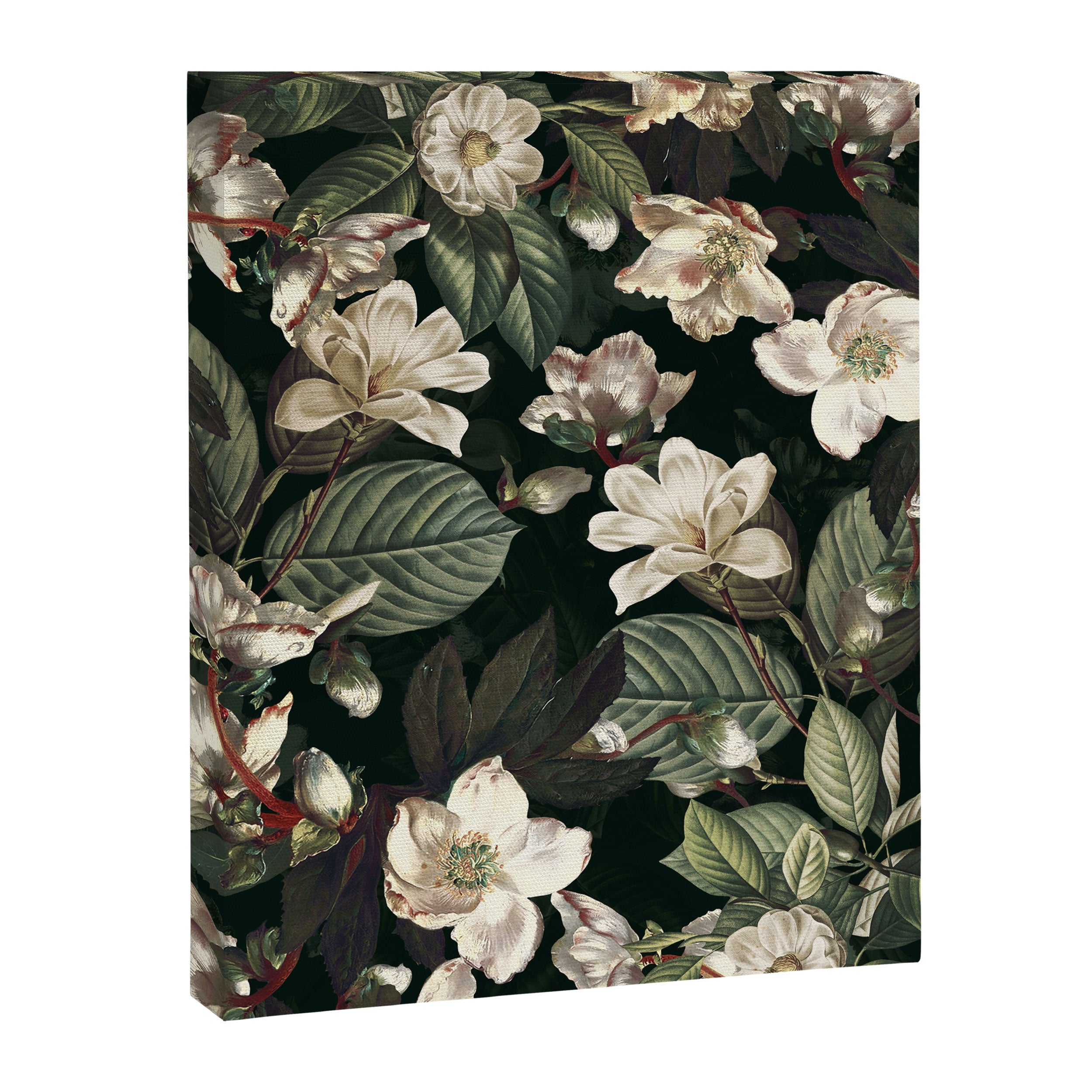 Dark Garden IX Canvas Print Gallery Image 8