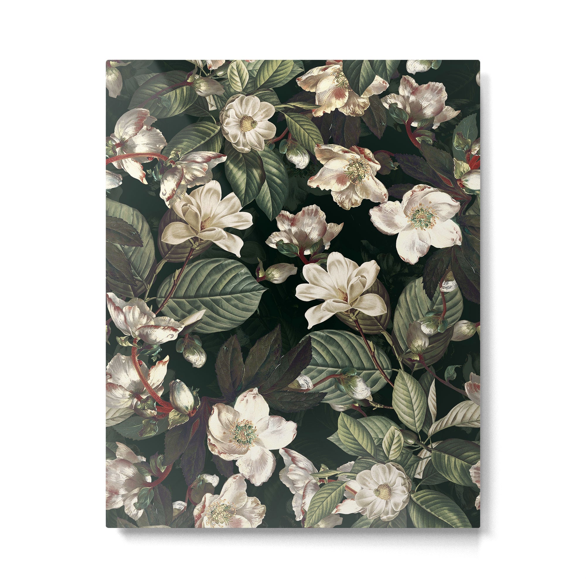 Dark Garden IX Metal Print Gallery Image 6