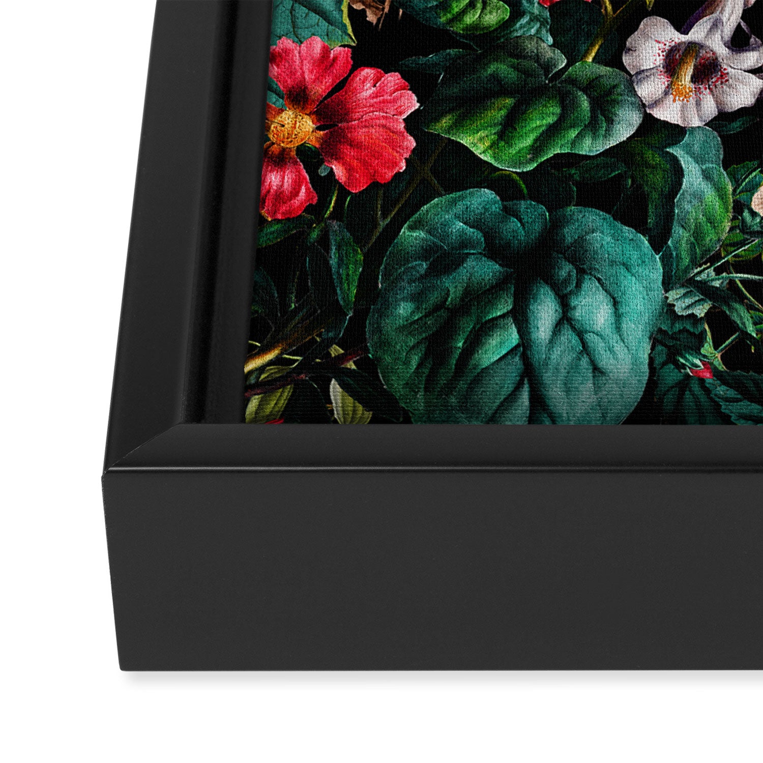 Exotic Blooms and Toucans Framed Canvas Print Gallery Image 3