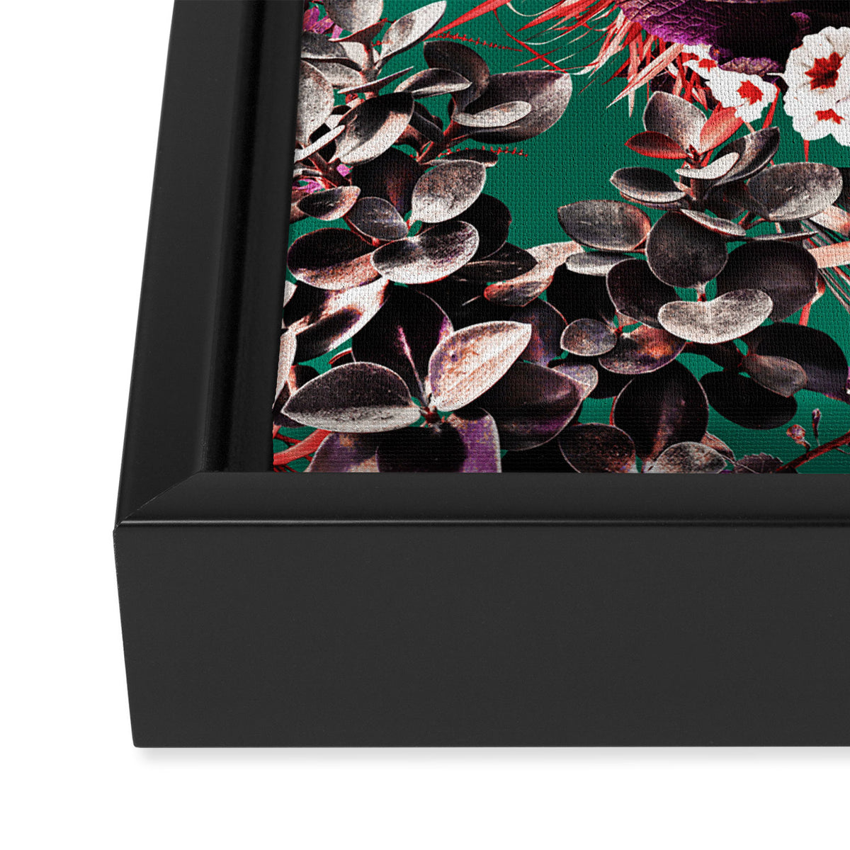 Exotic Garden III Framed Canvas Print Gallery Image 3