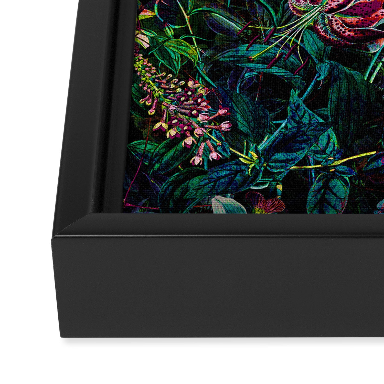 EXOTIC GARDEN - NIGHT IX Framed Canvas Print Gallery Image 3
