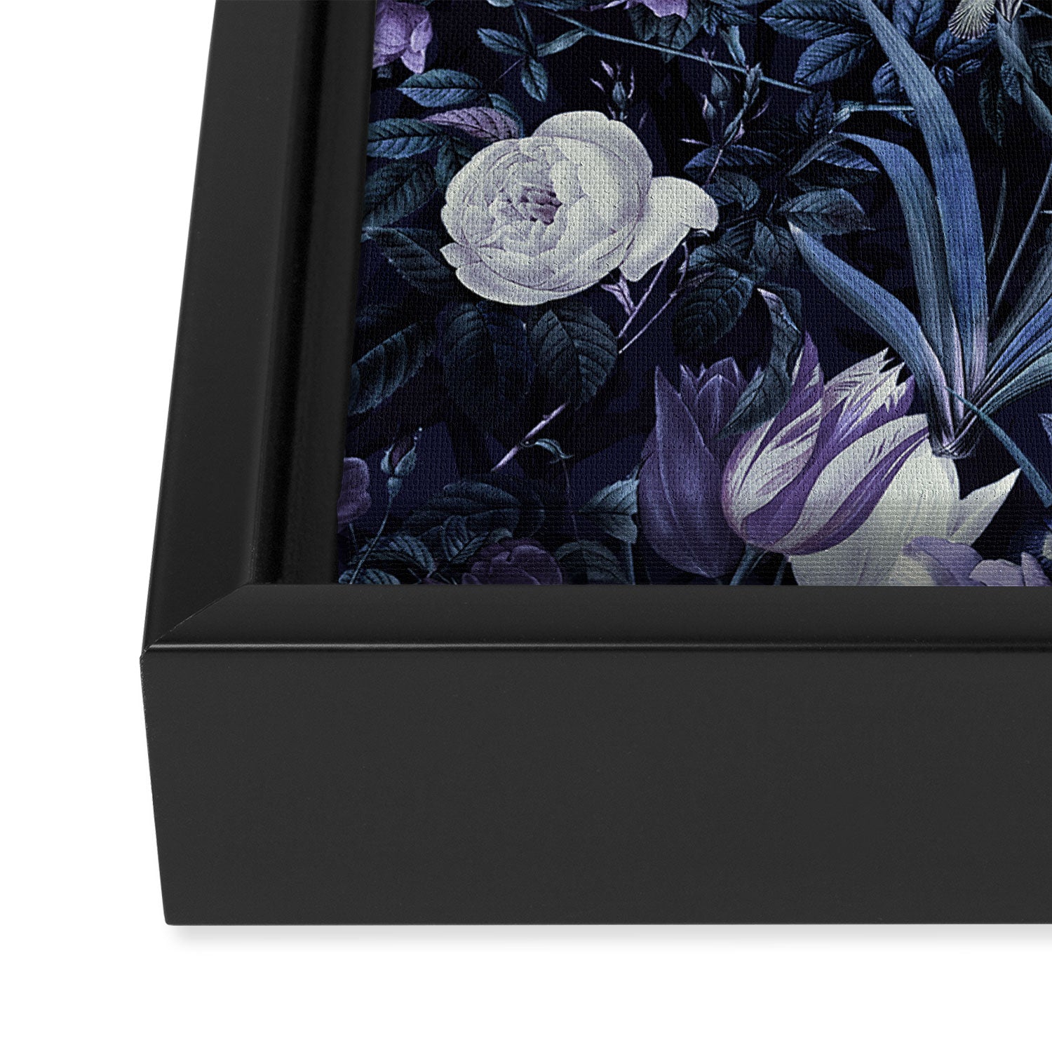 EXOTIC GARDEN - NIGHT XII Framed Canvas Print Gallery Image 3