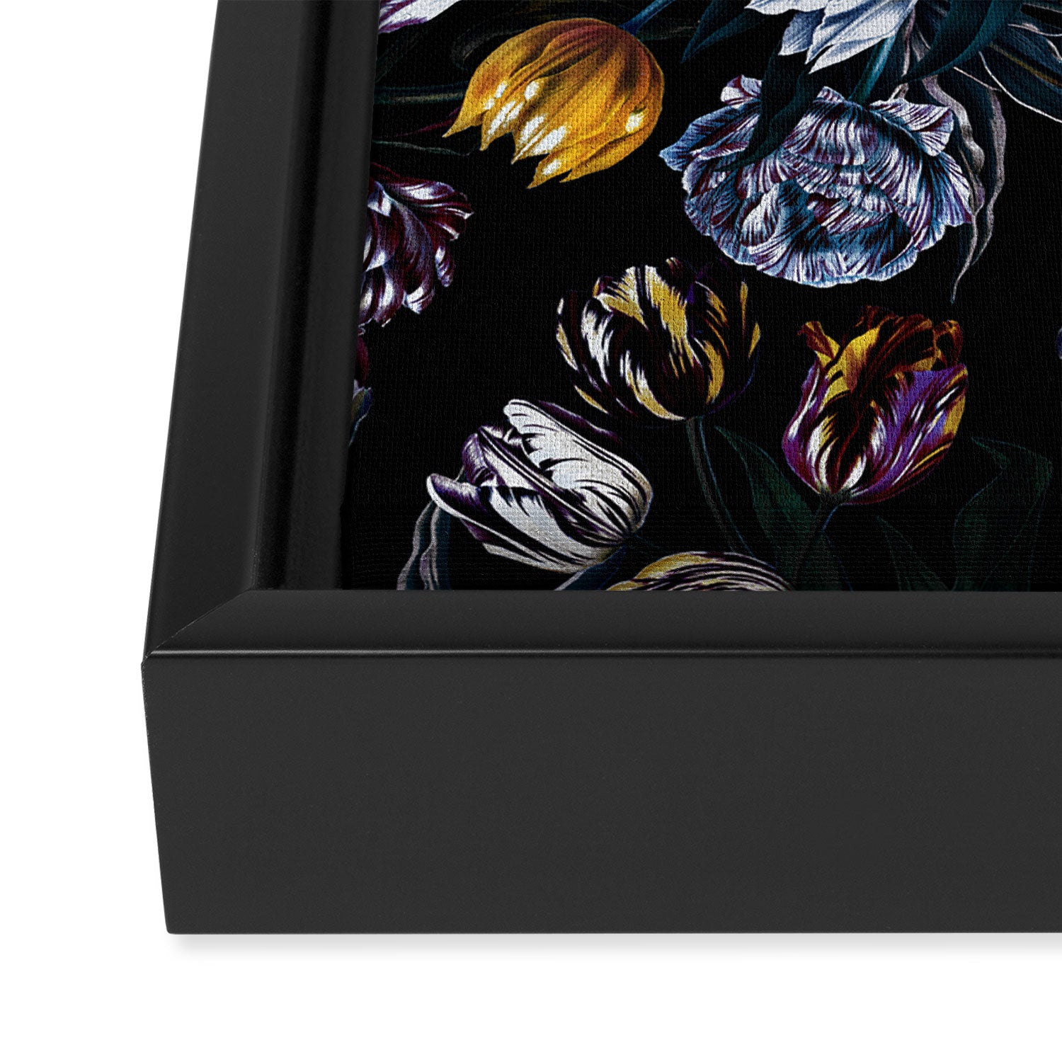 EXOTIC GARDEN - NIGHT XIV Framed Canvas Print Gallery Image 3